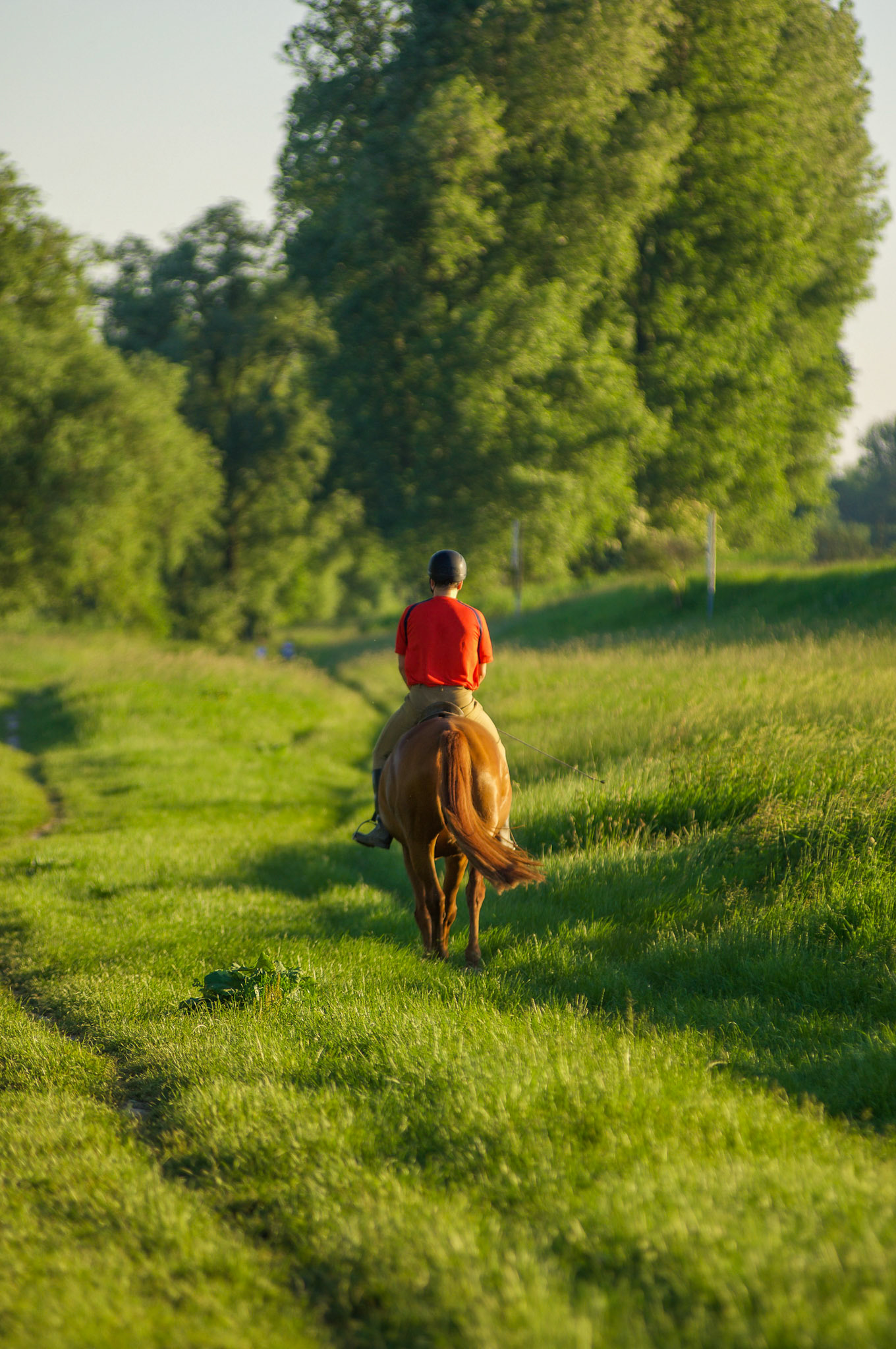 Rhein bei Langs-Kierst