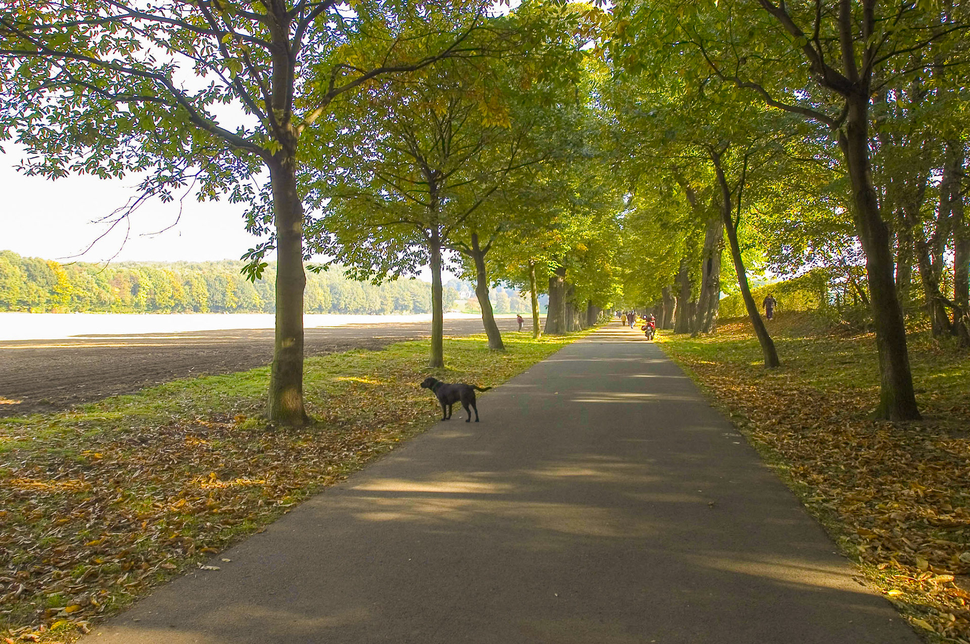 Düsseldorf