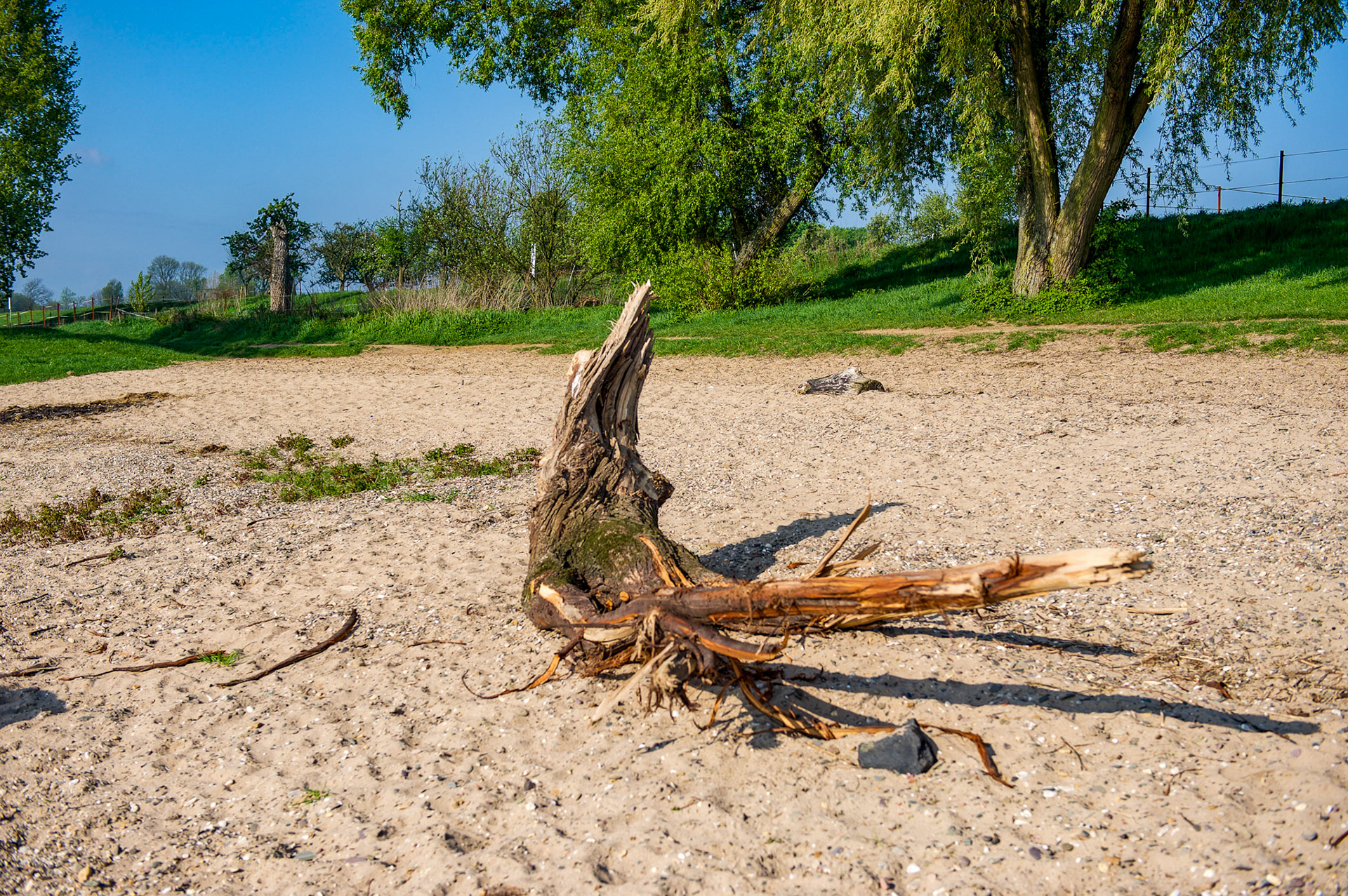 Rhein bei Langs-Kierst