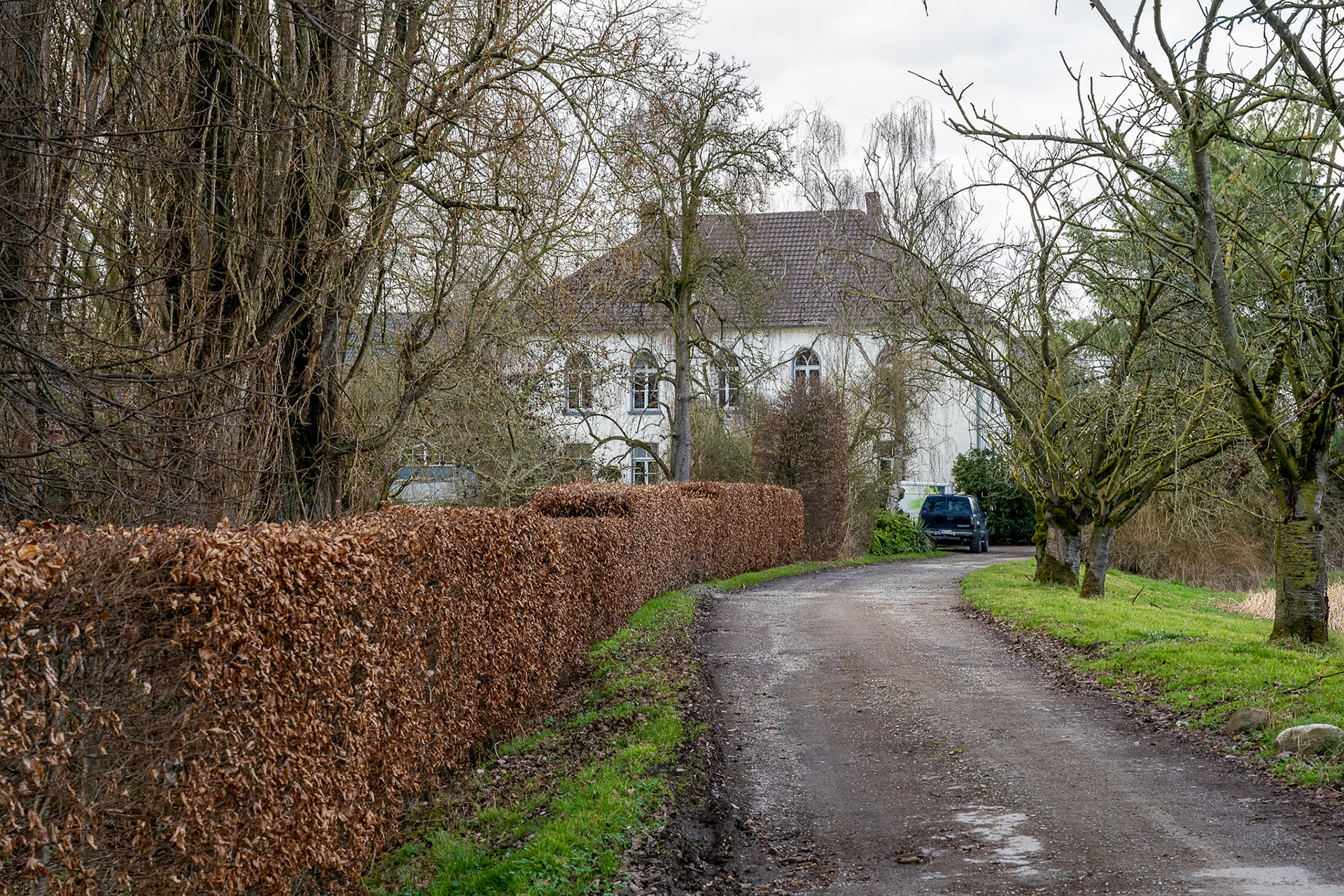Rhein bei Langs-Kierst