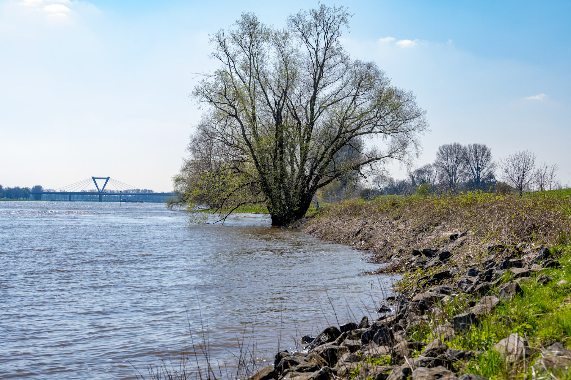 Rhein bei Langs-Kierst