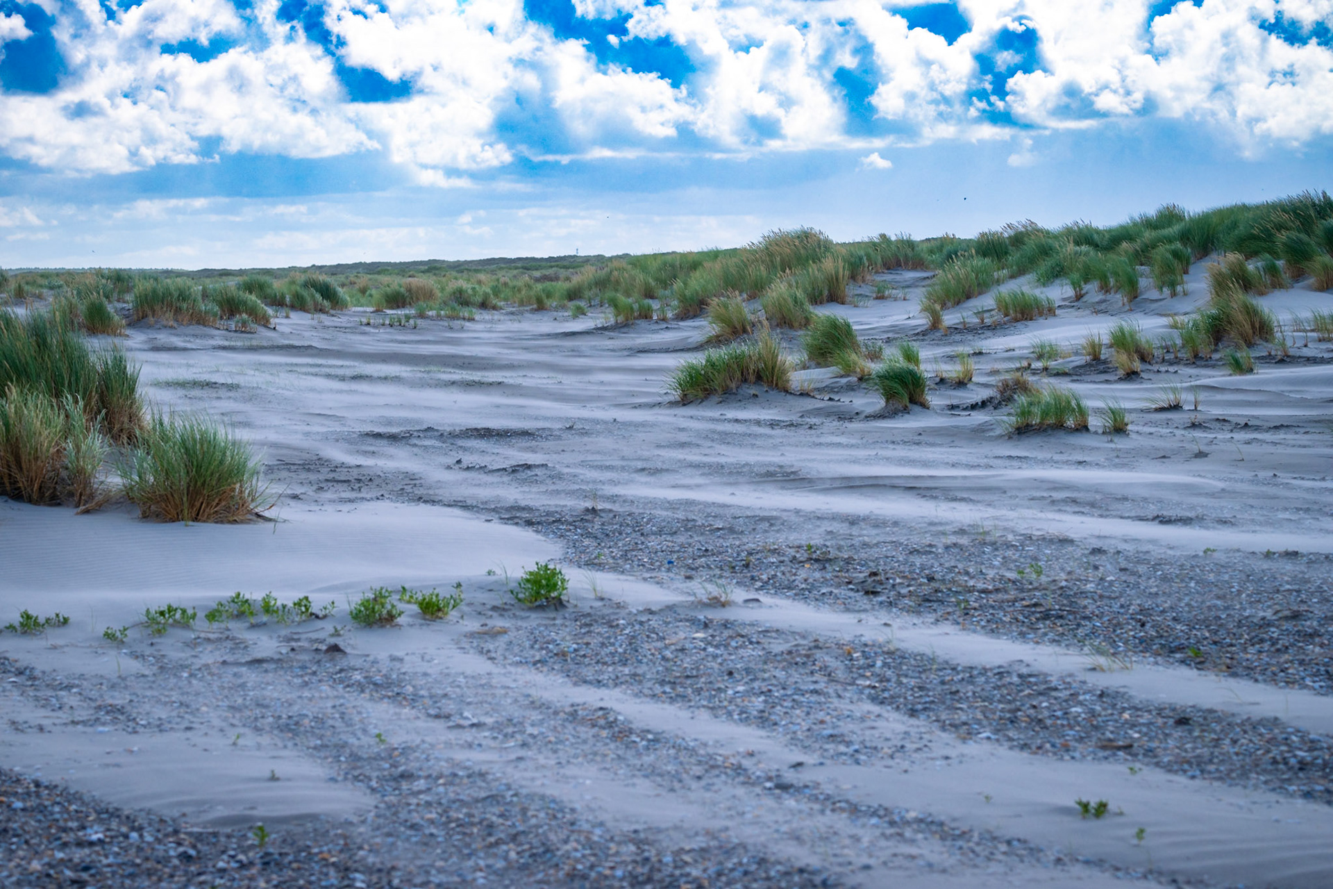 Ameland