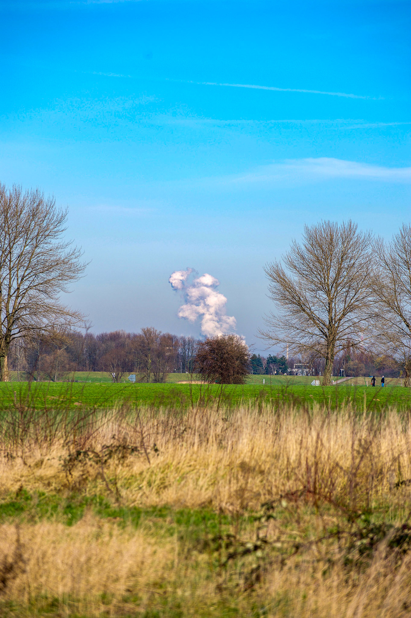 Rhein bei Langs-Kierst