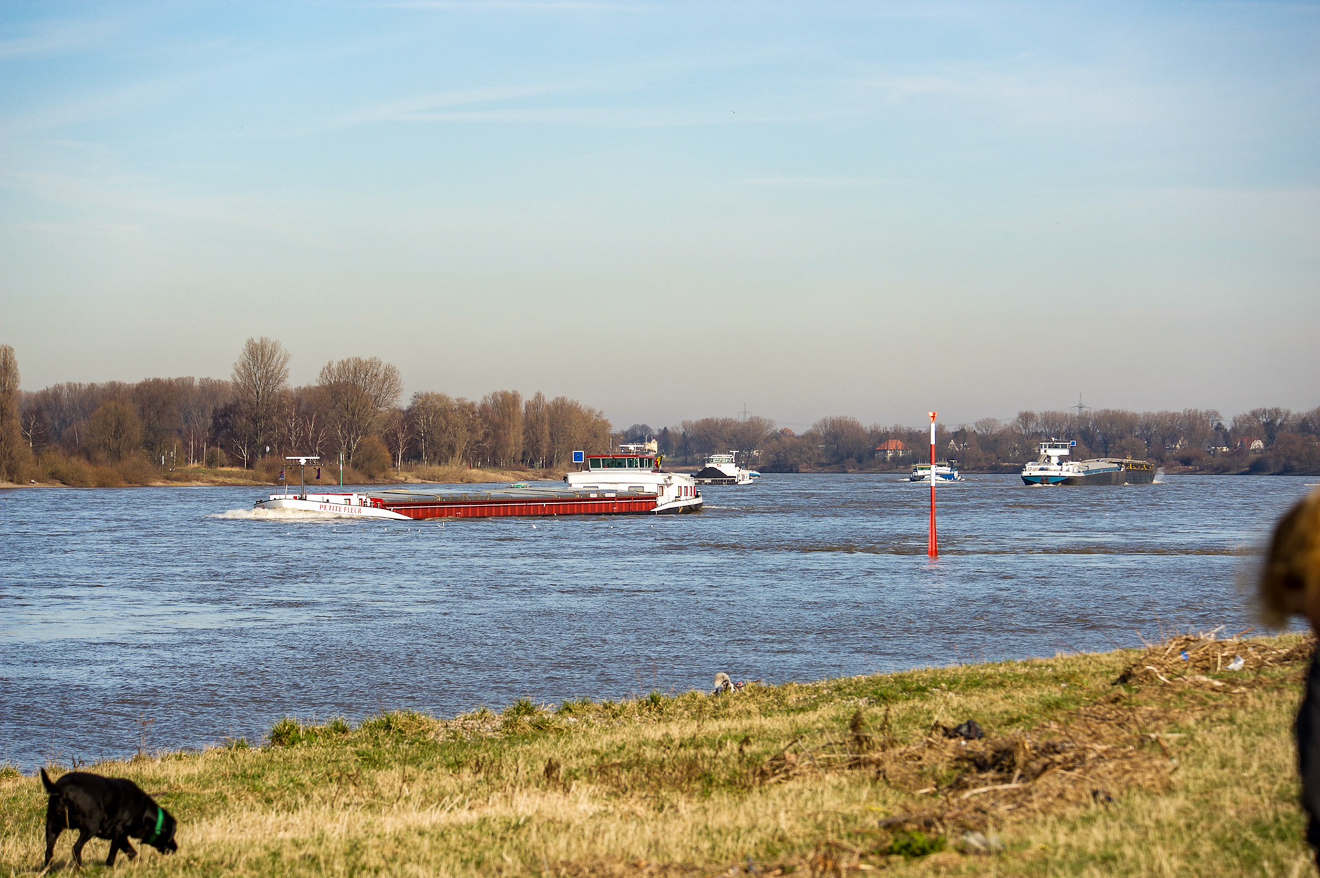 Rhein bei Langs-Kierst
