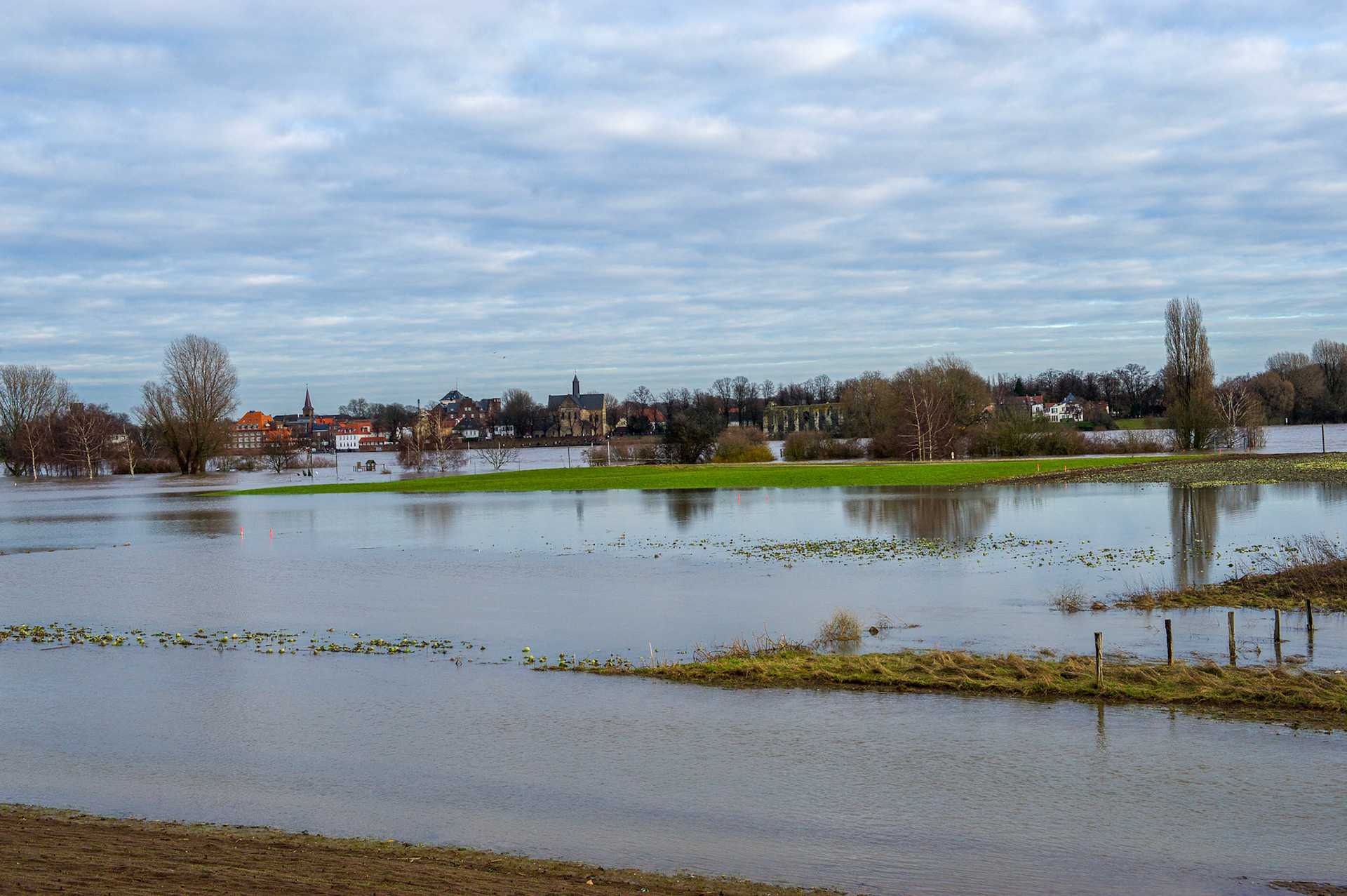 Rhein bei Langs-Kierst