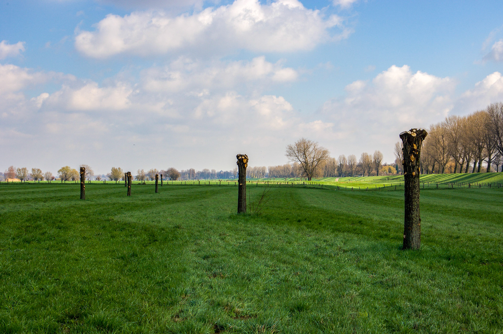 Rhein bei Langs-Kierst