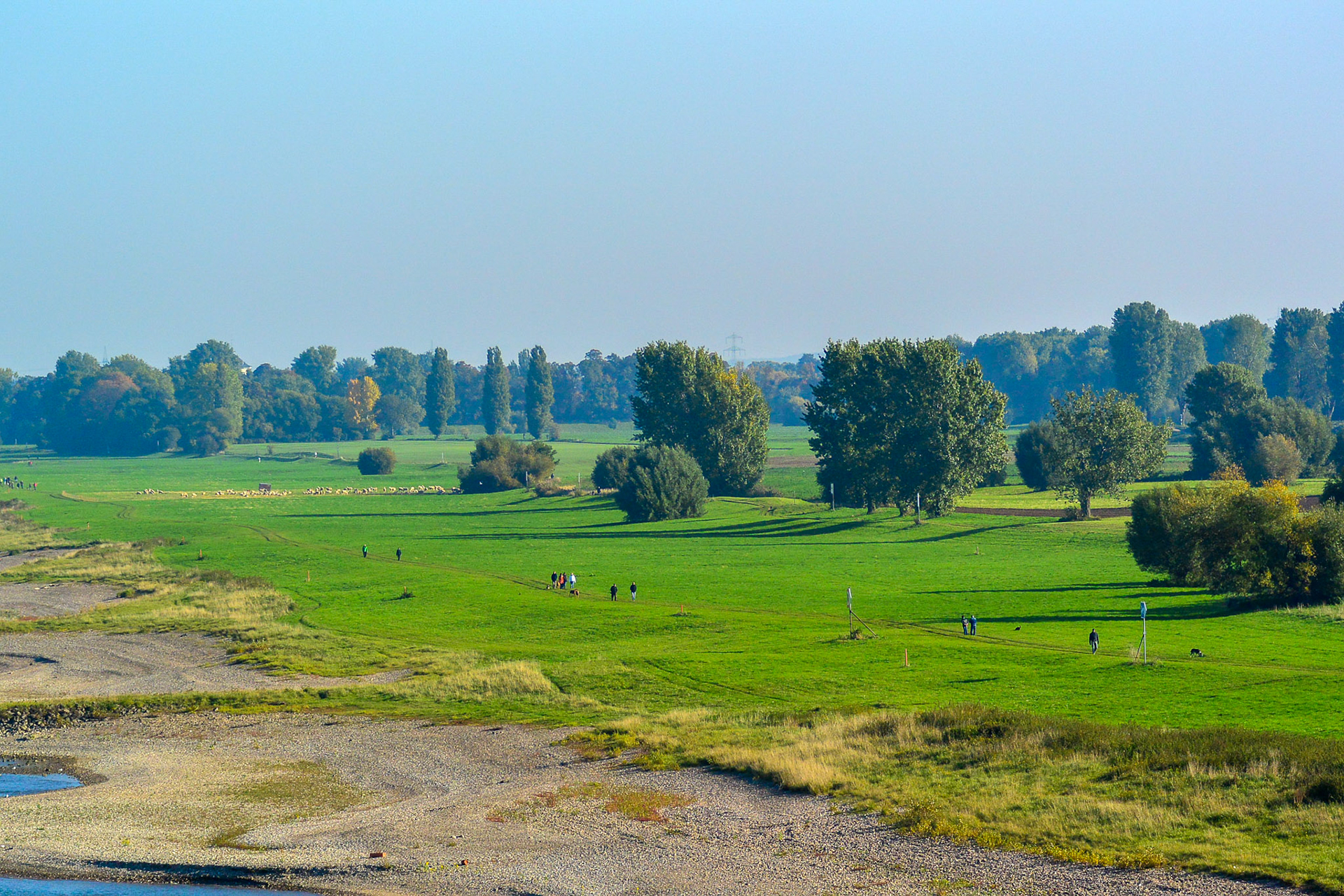 Rhein bei Langs-Kierst