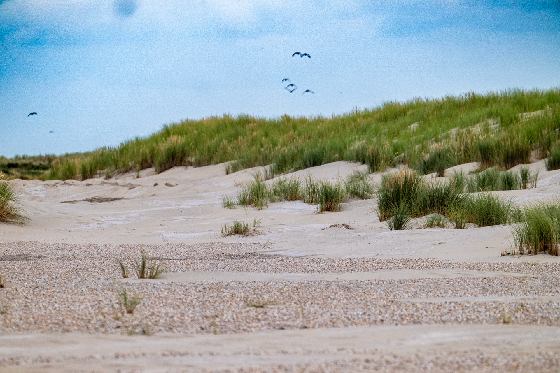 Ameland