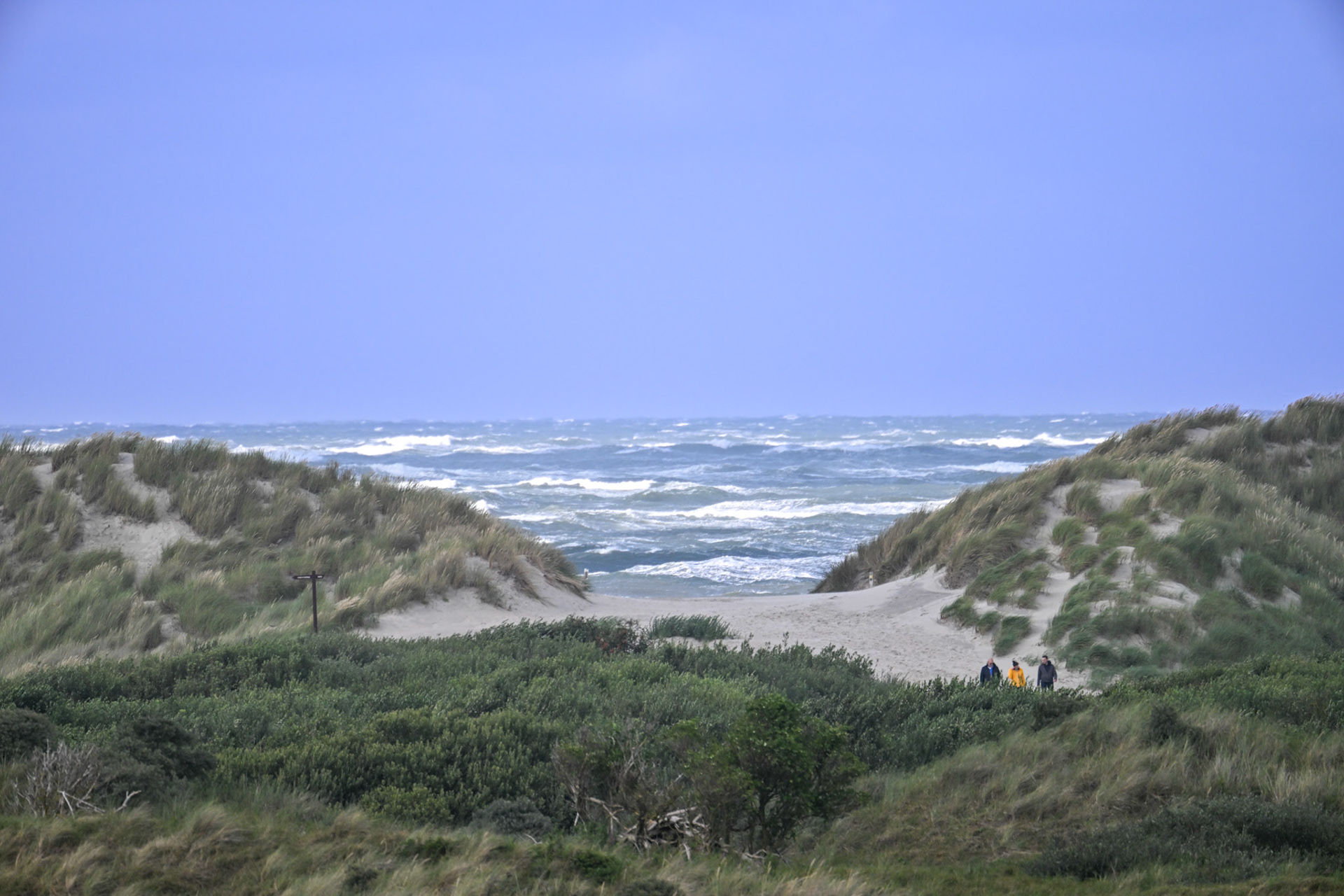 Ameland