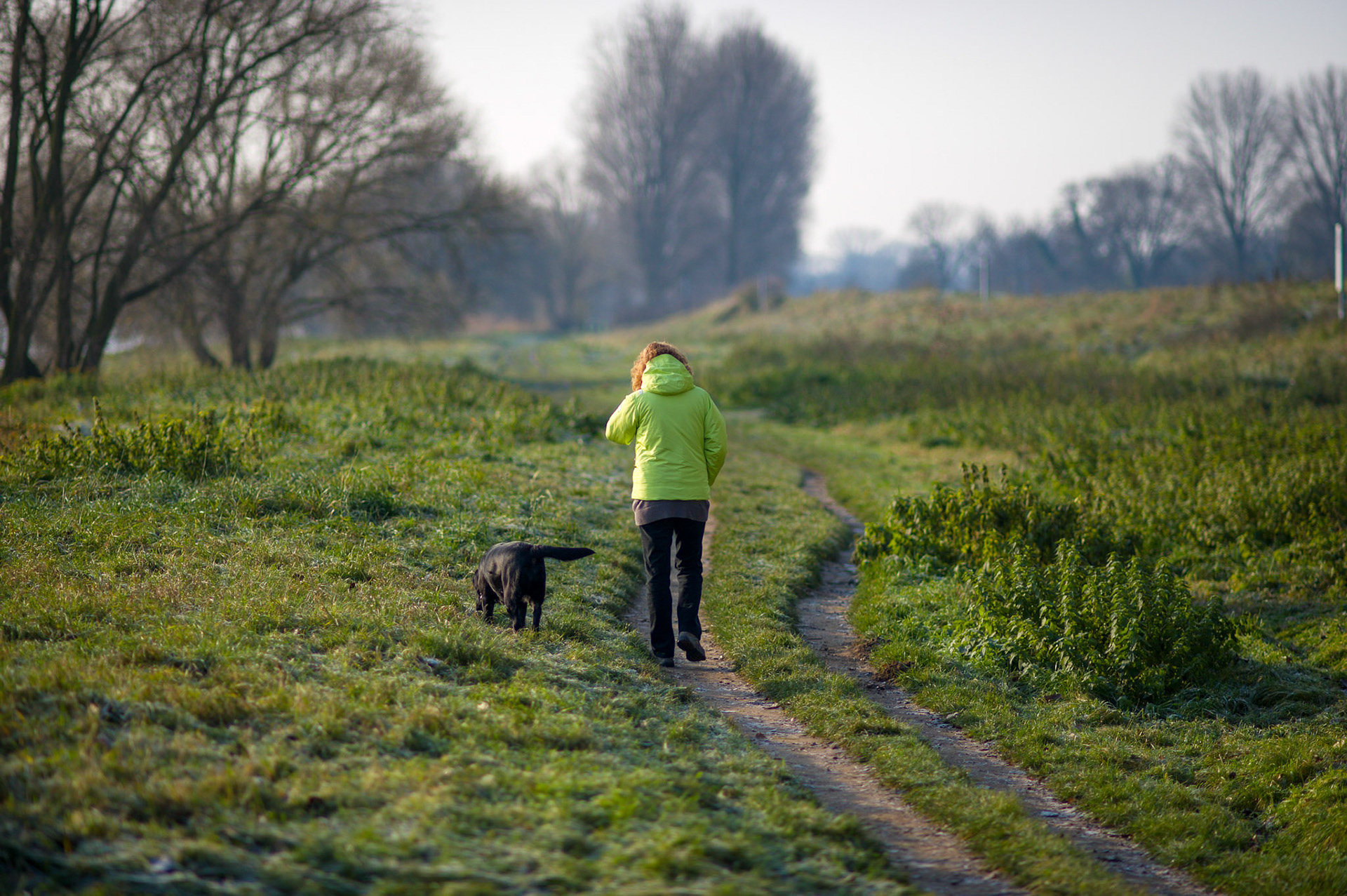 Rhein bei Langs-Kierst