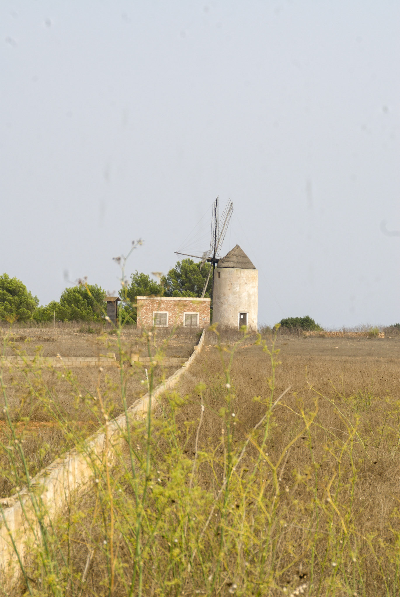 Formenterra