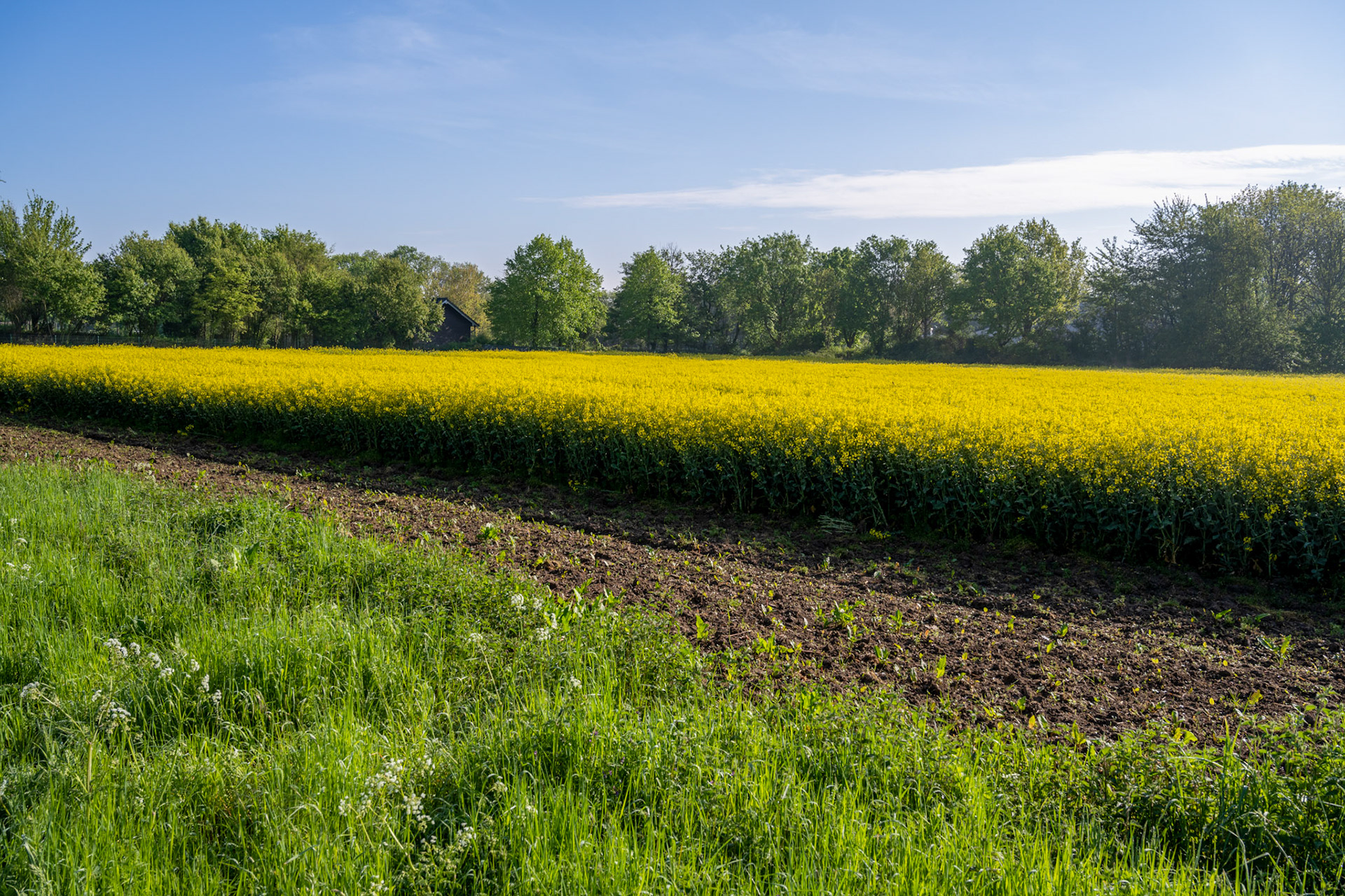Meerbusch-Osterath