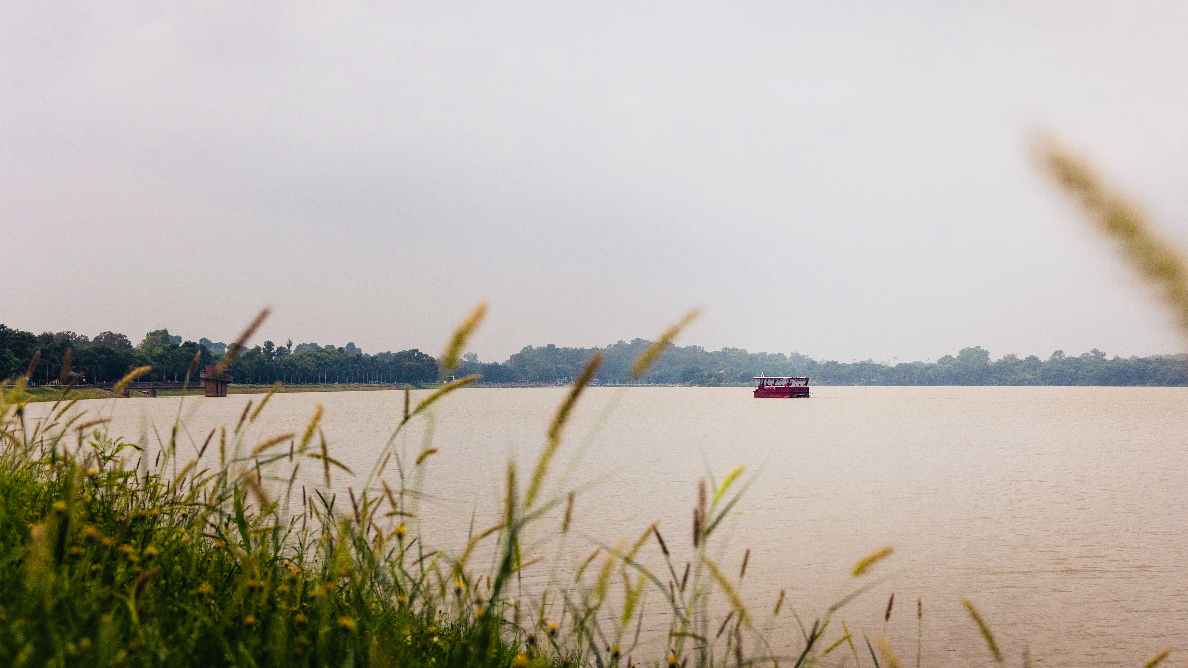 Captured by Rohit Chopra