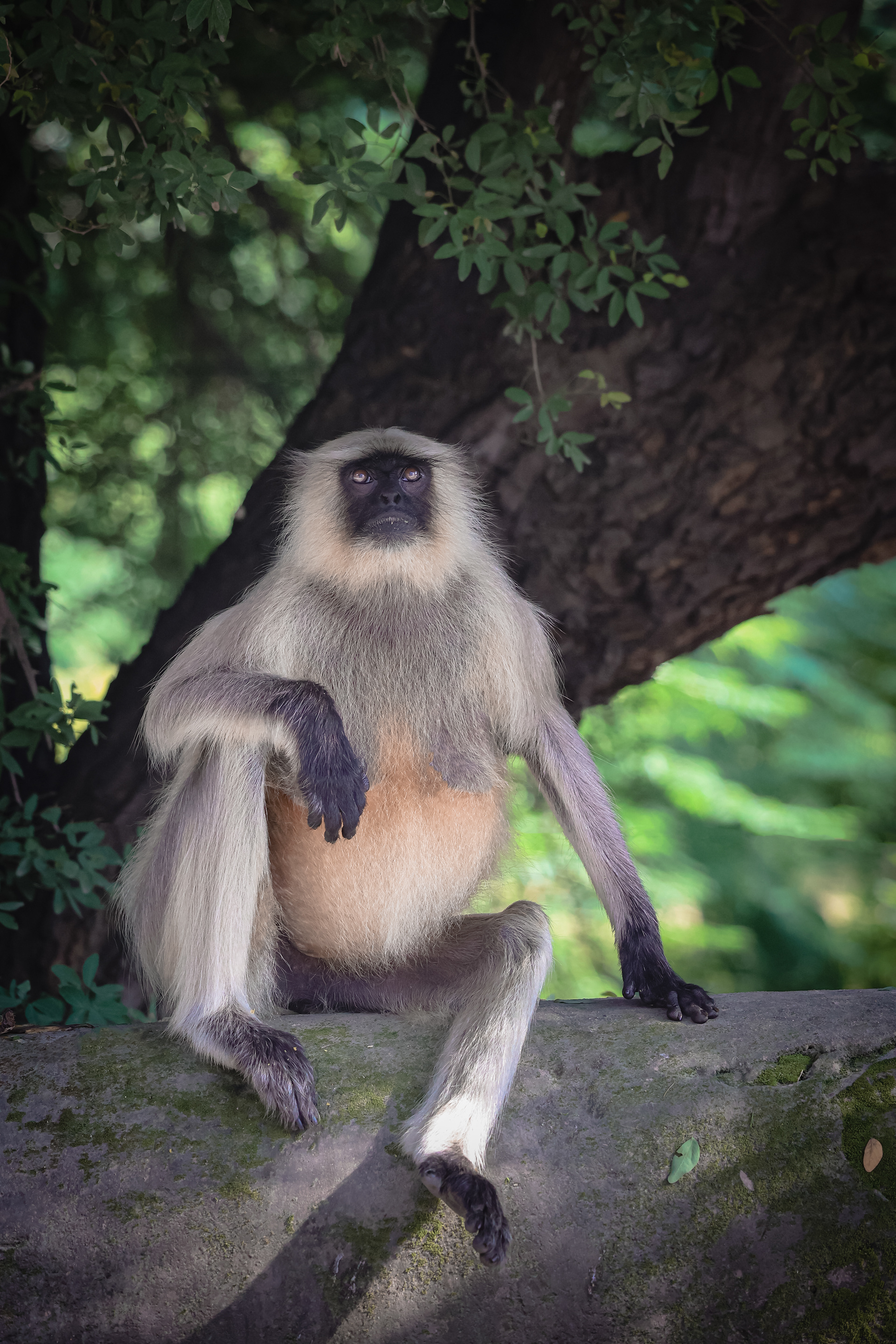 Captured by Rohit Chopra