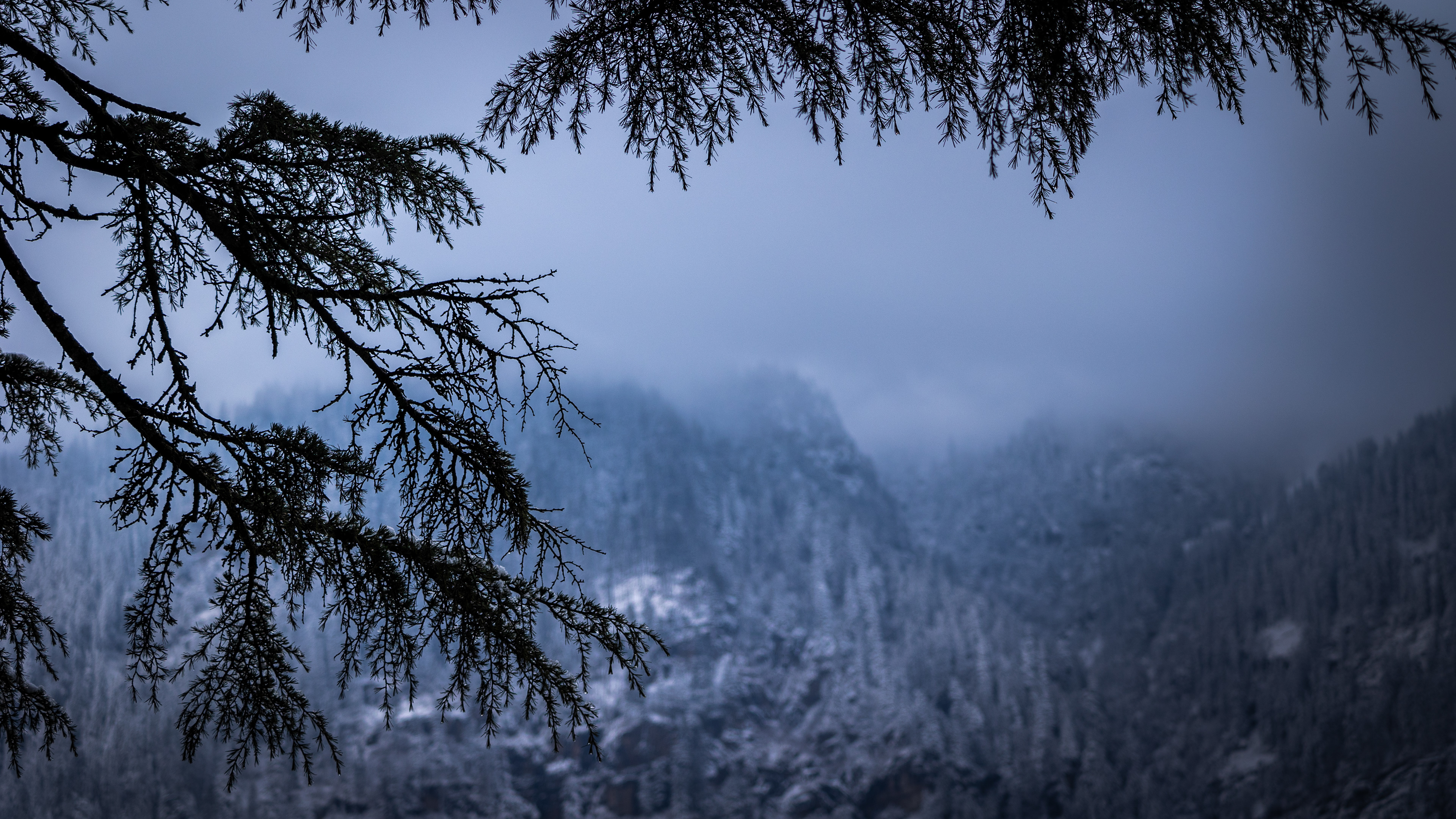 Captured by Rohit Chopra