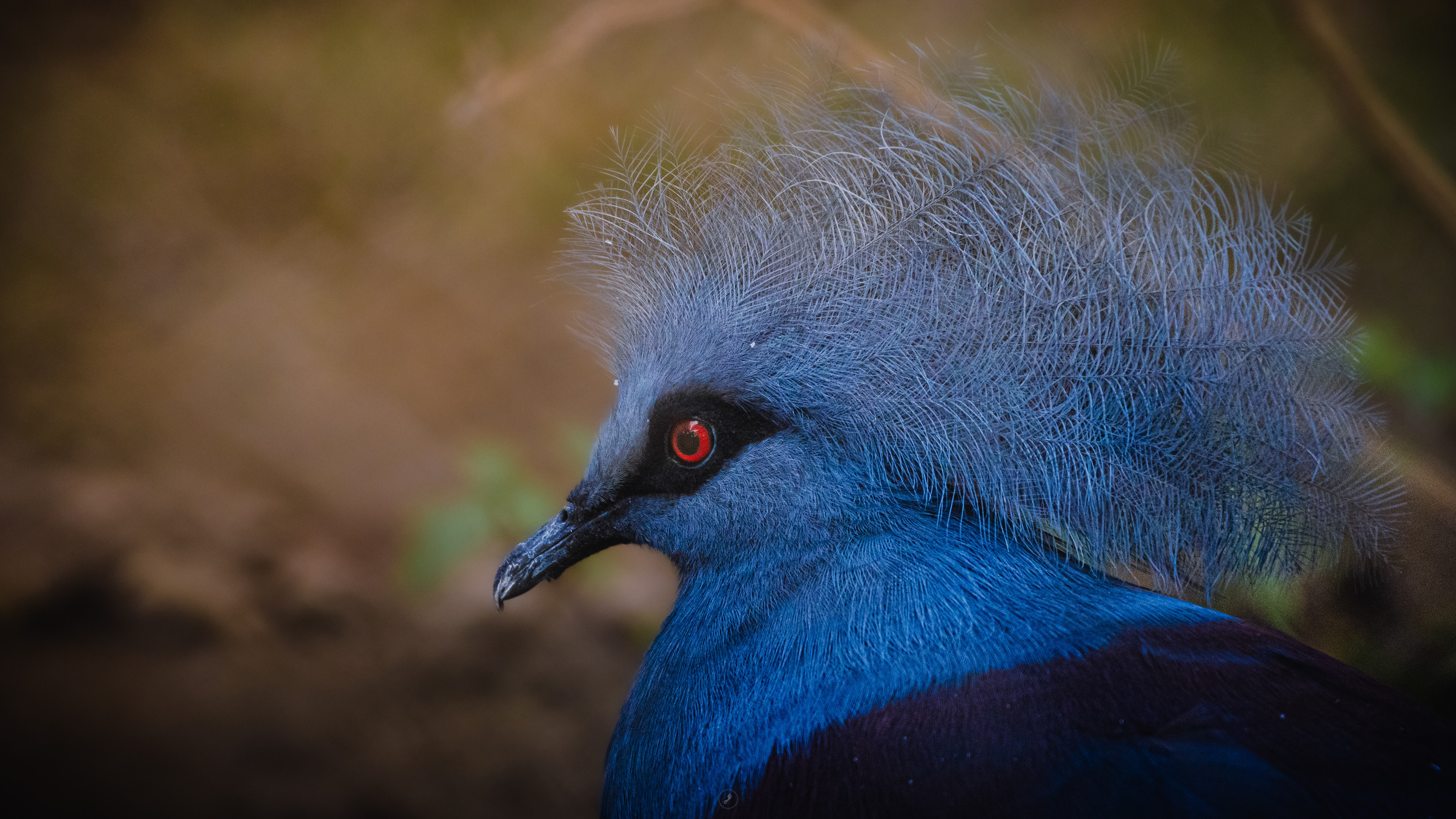 Captured by Rohit Chopra