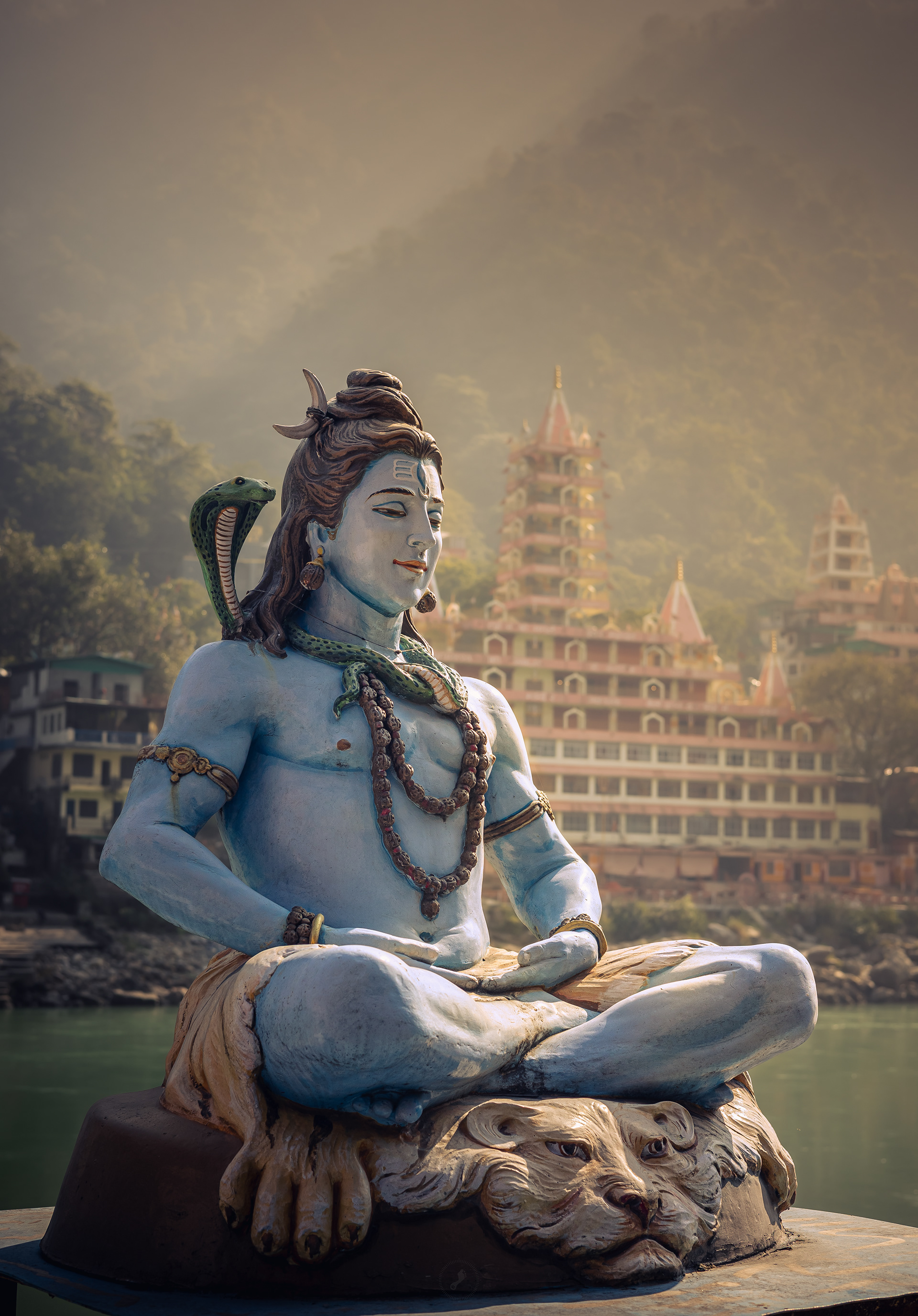 Captured by Rohit Chopra