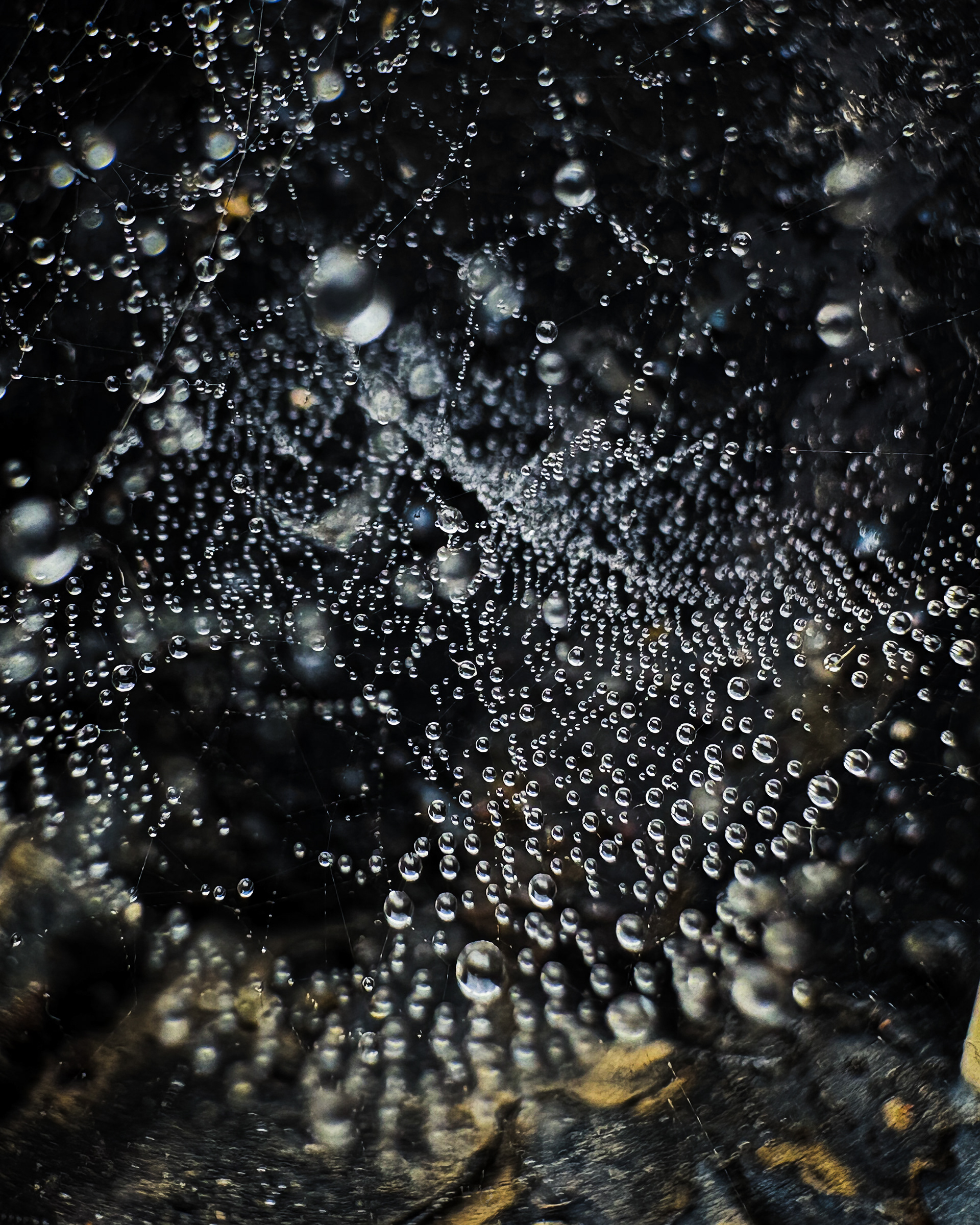 Captured by Rohit Chopra