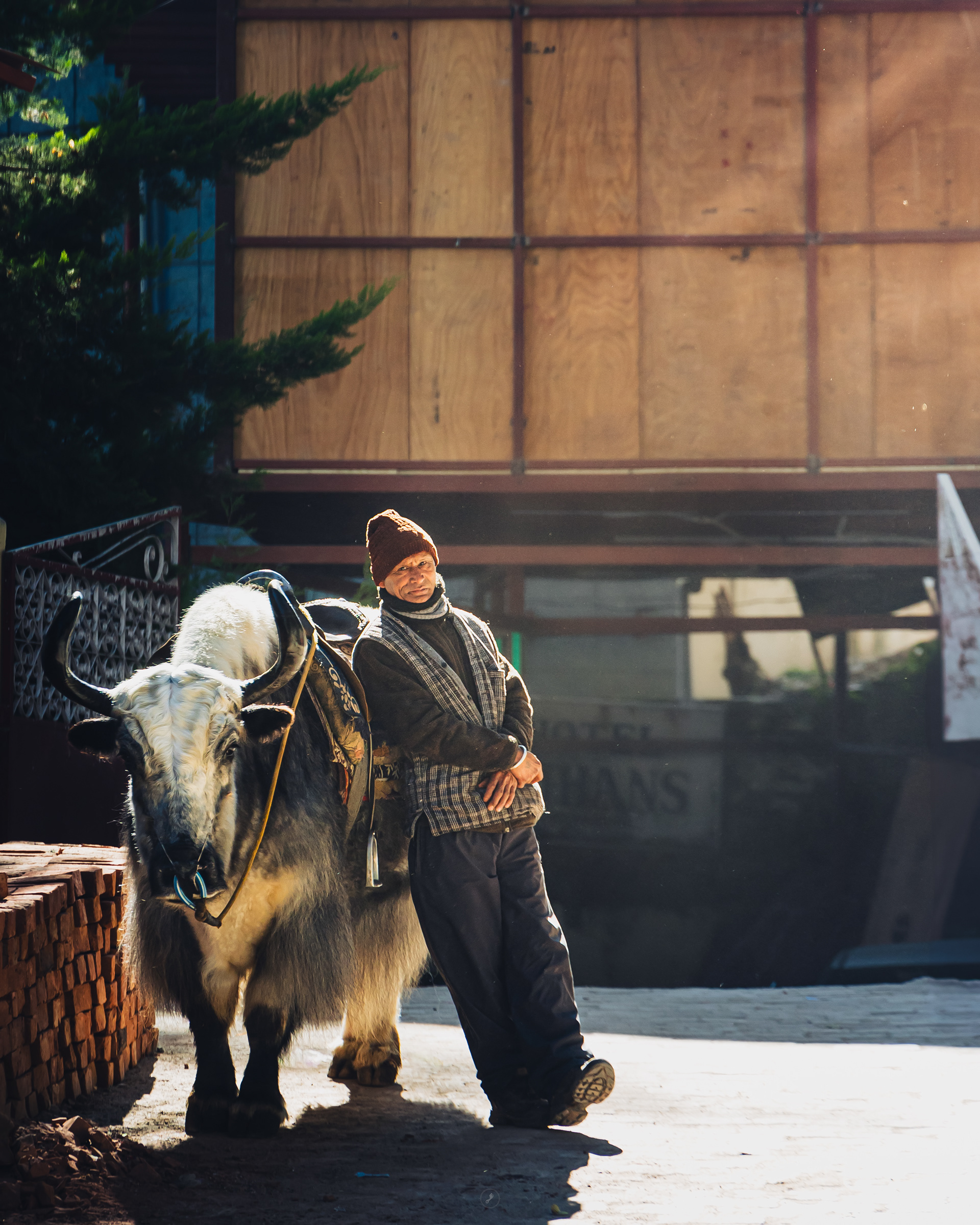 Captured by Rohit Chopra