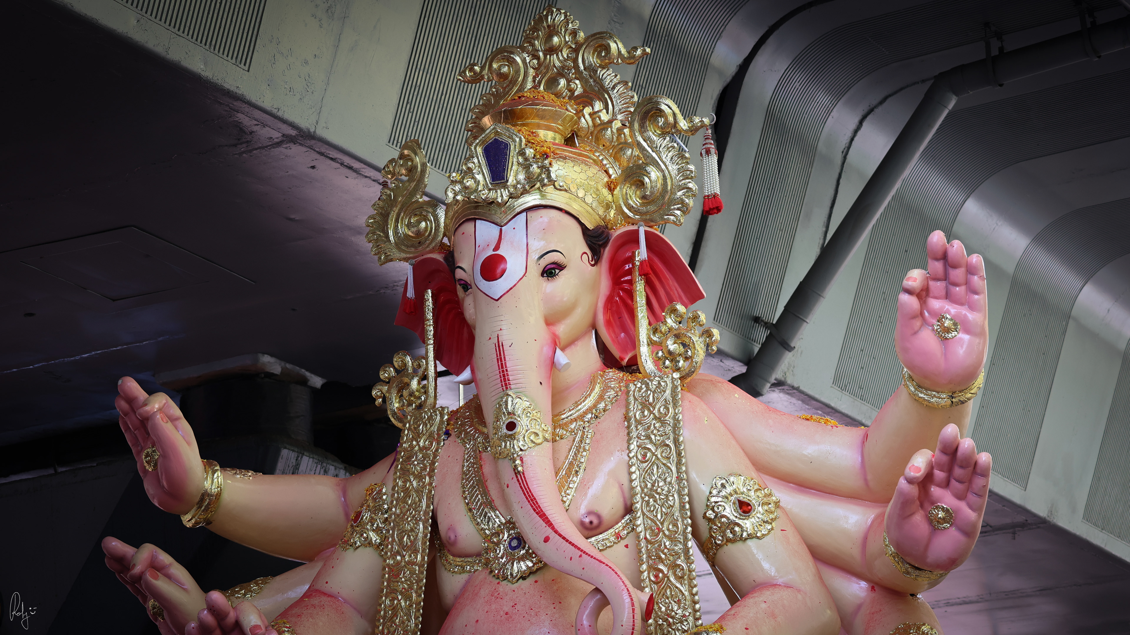 Captured by Rohit Chopra