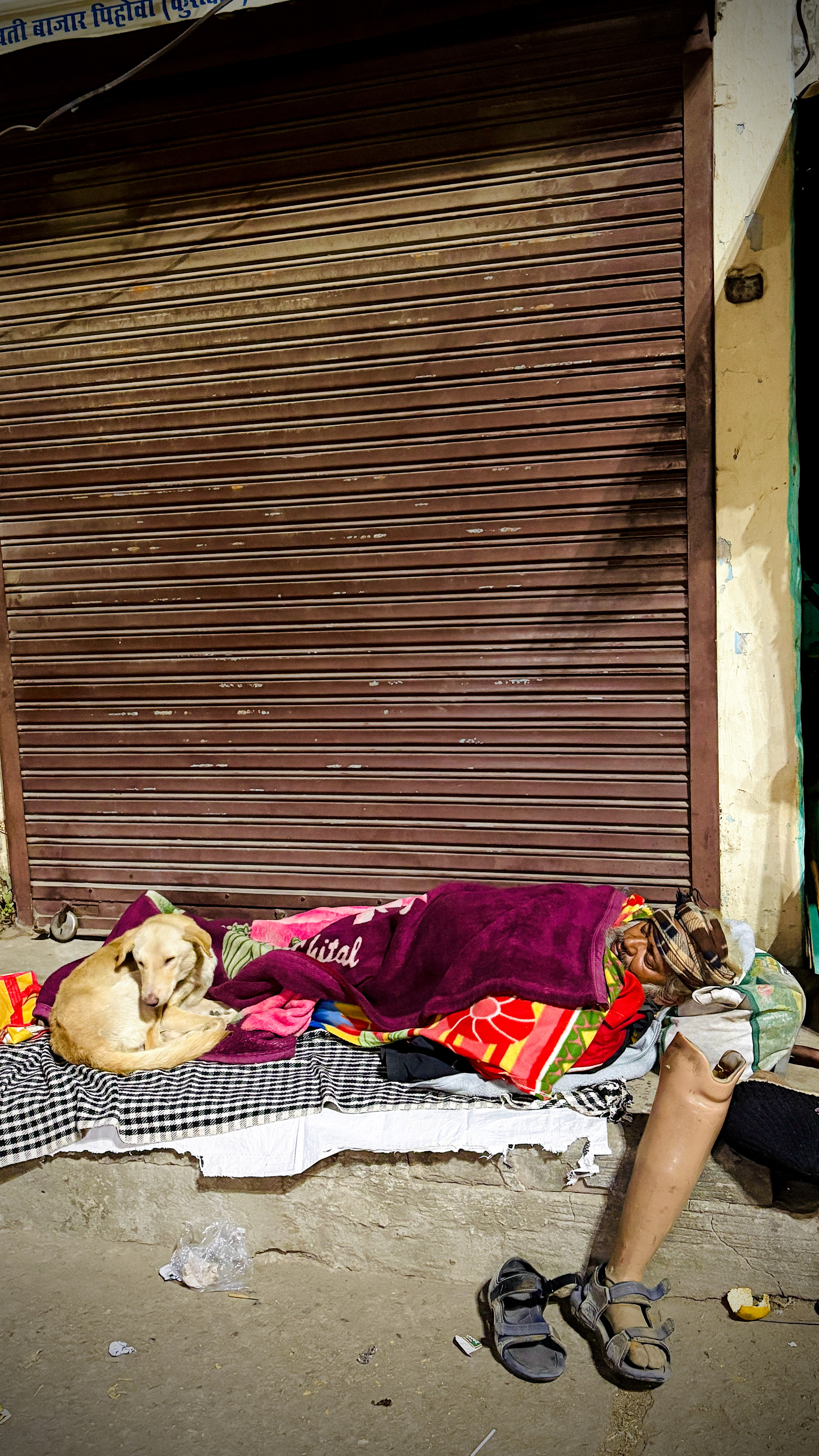 Captured by Rohit Chopra