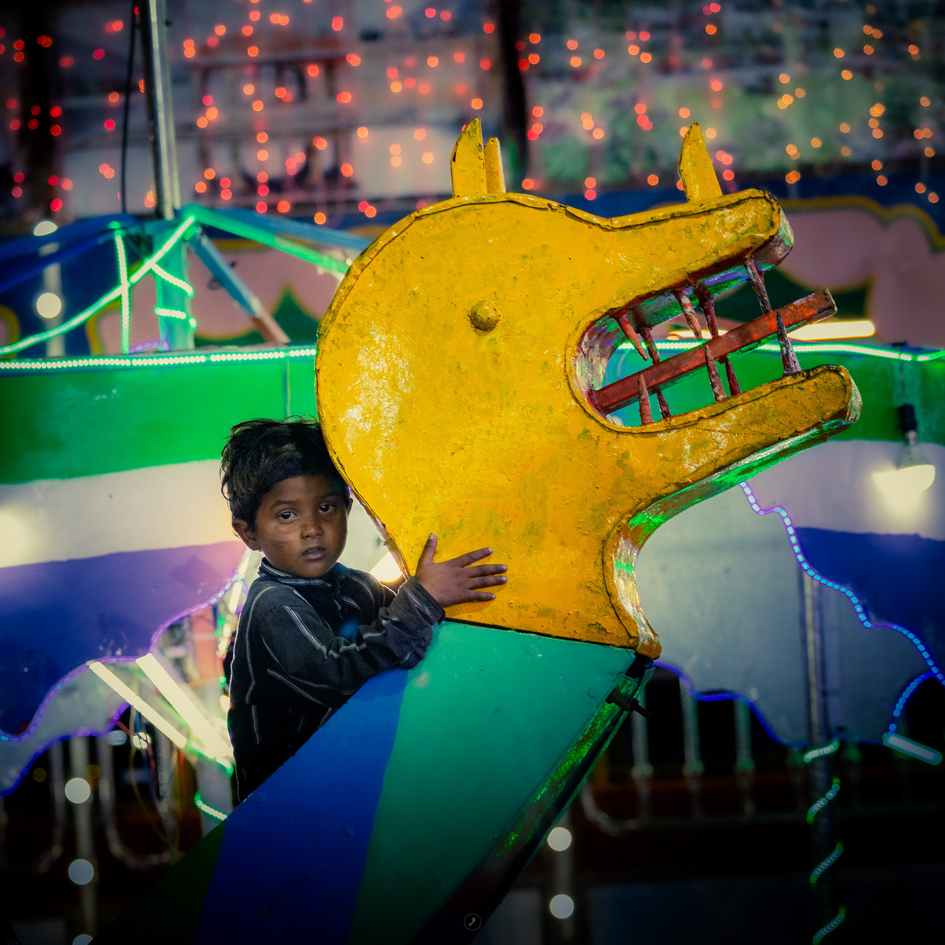 Captured by Rohit Chopra