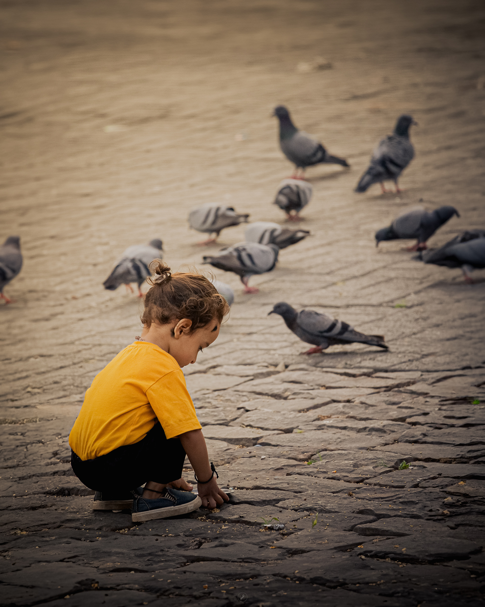 Captured by Rohit Chopra