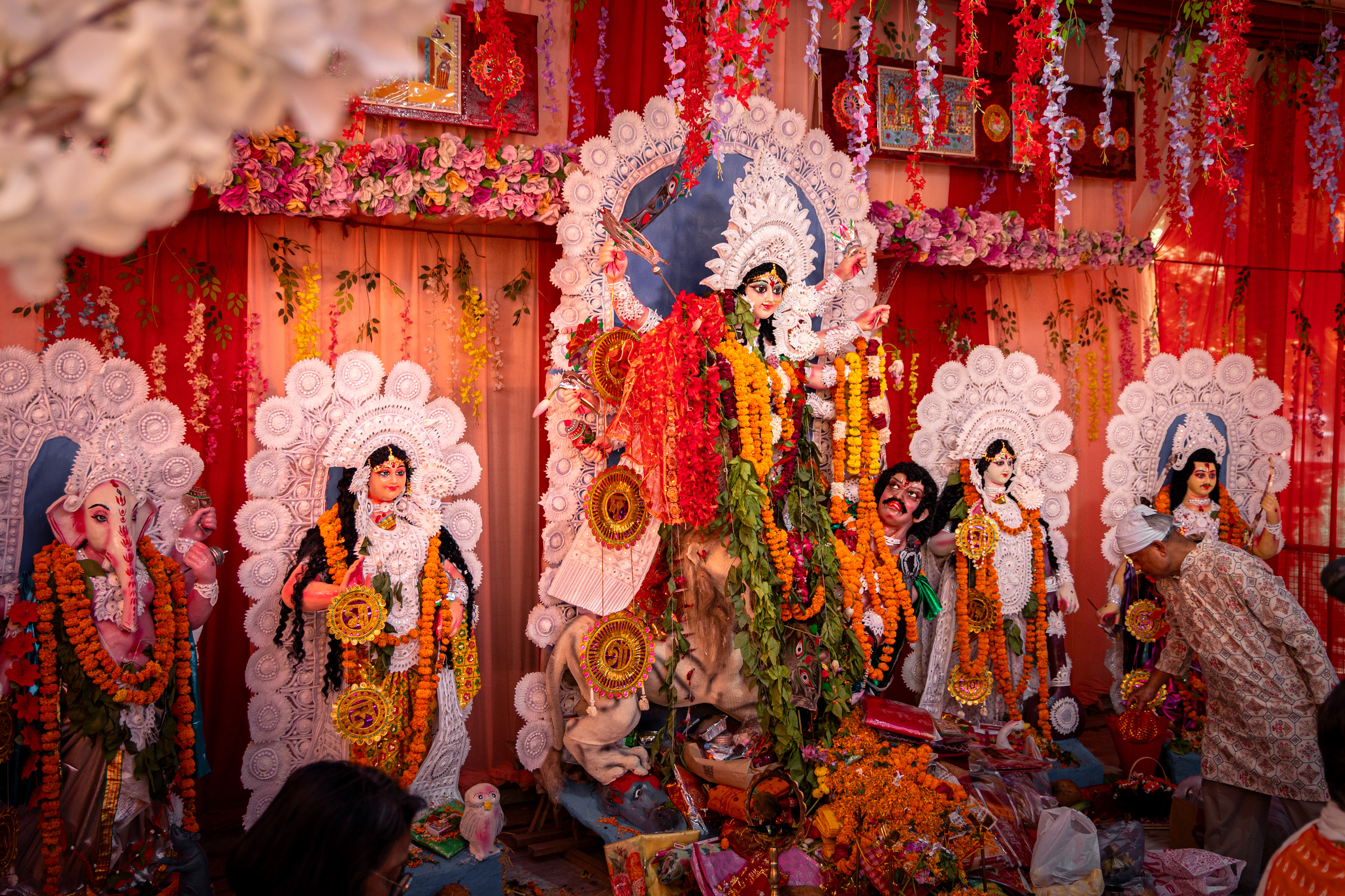 Captured by Rohit Chopra