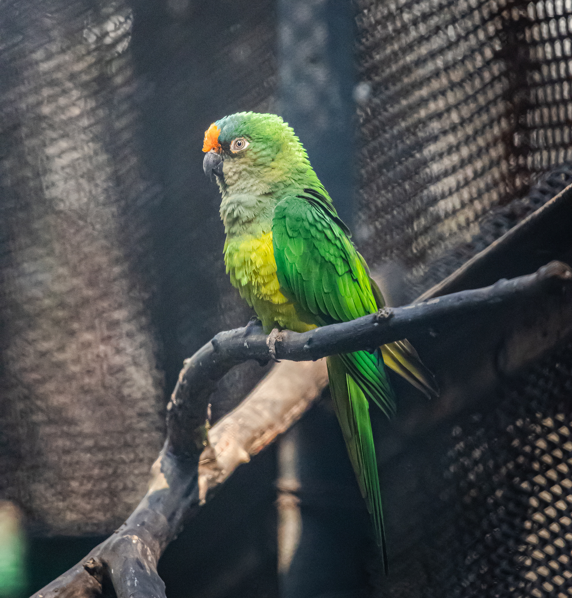 Captured by Rohit Chopra