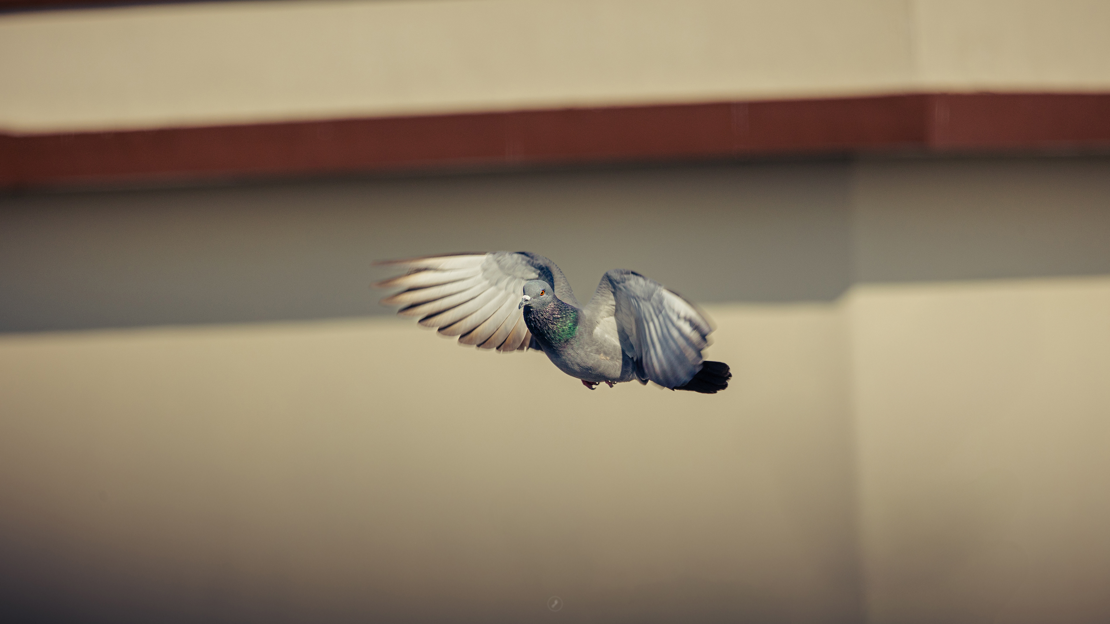 Captured by Rohit Chopra