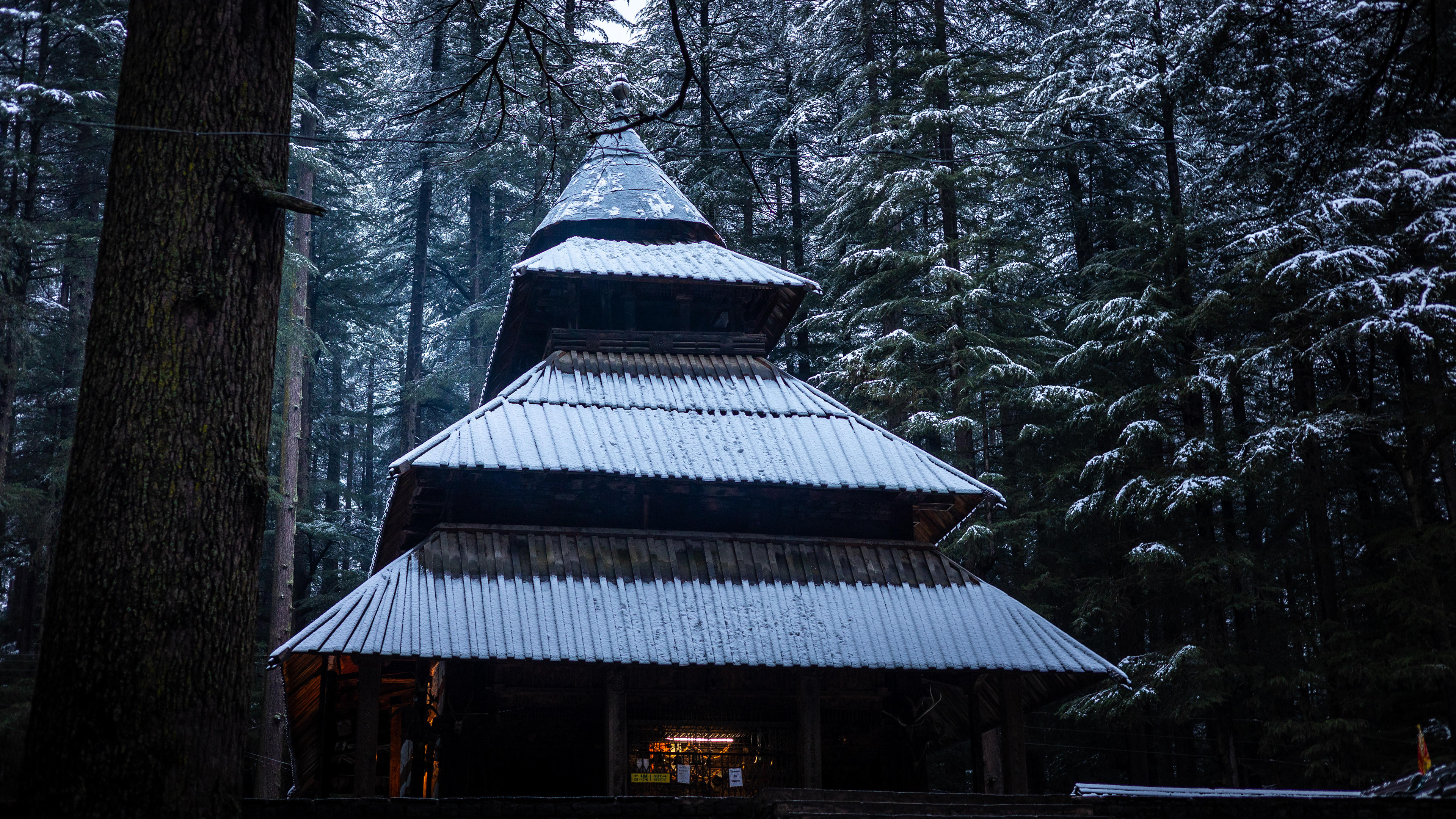 Captured by Rohit Chopra