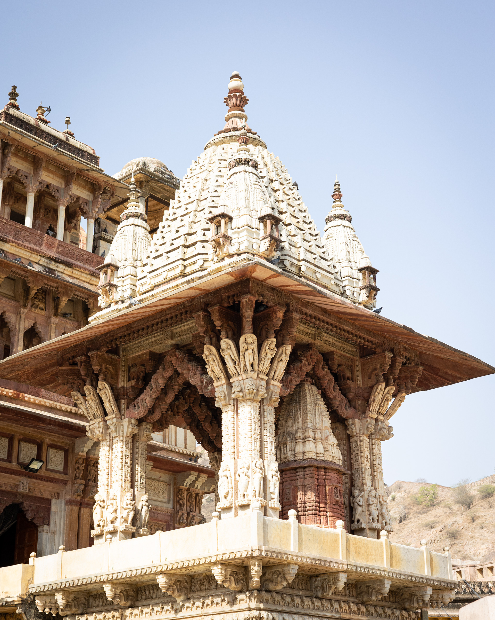 Captured by Rohit Chopra