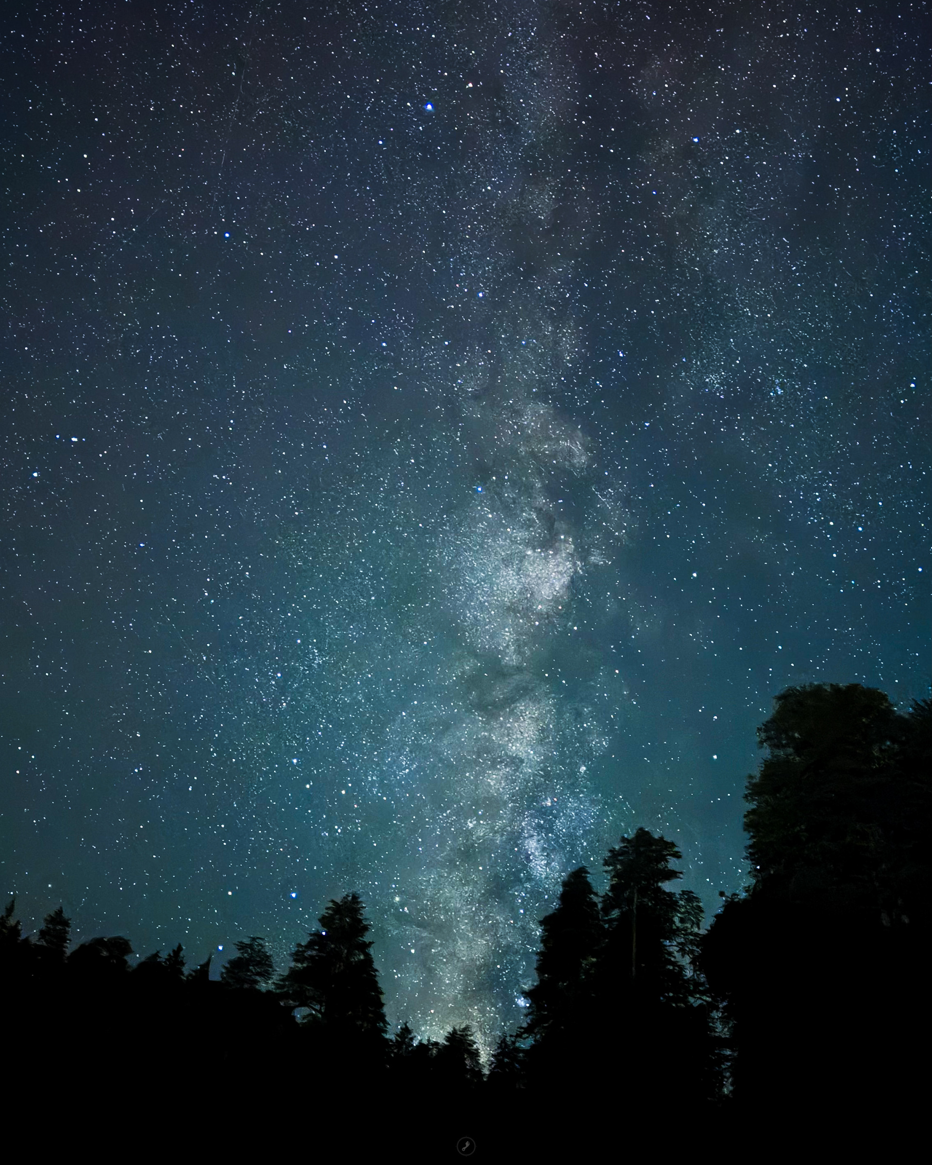 Captured by Rohit Chopra