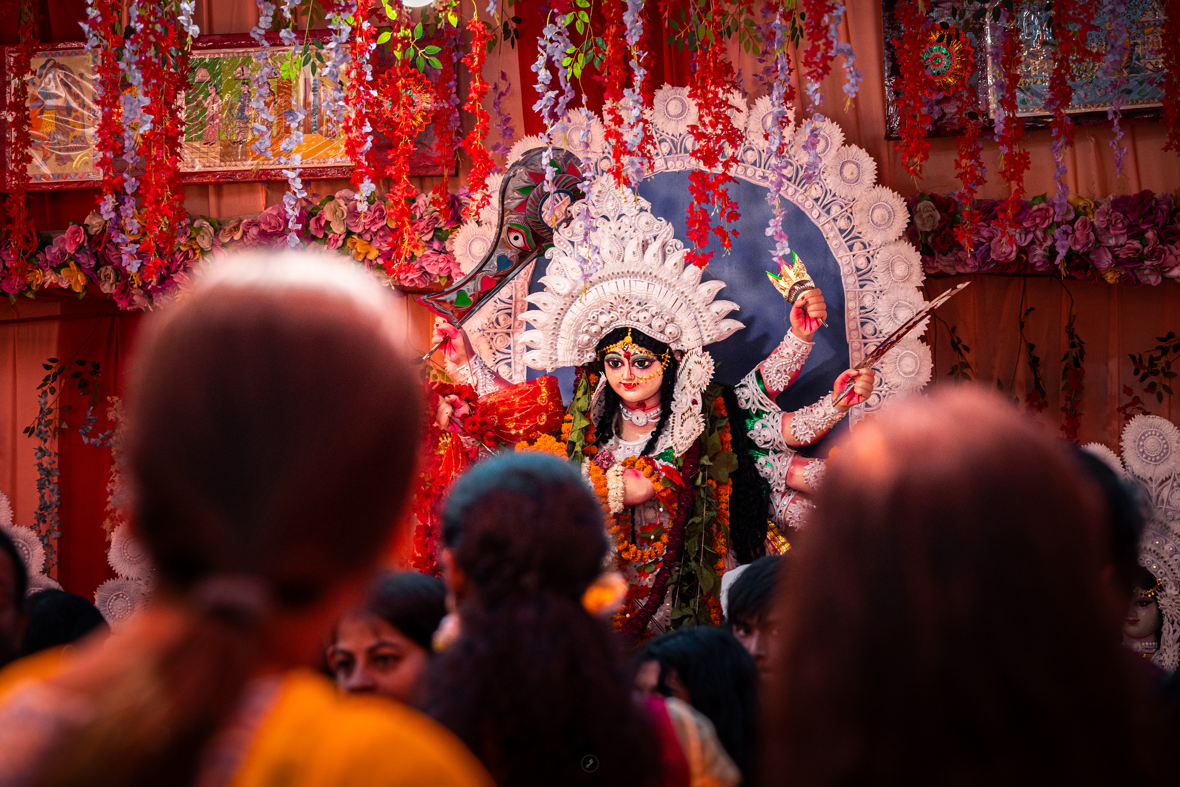 Captured by Rohit Chopra