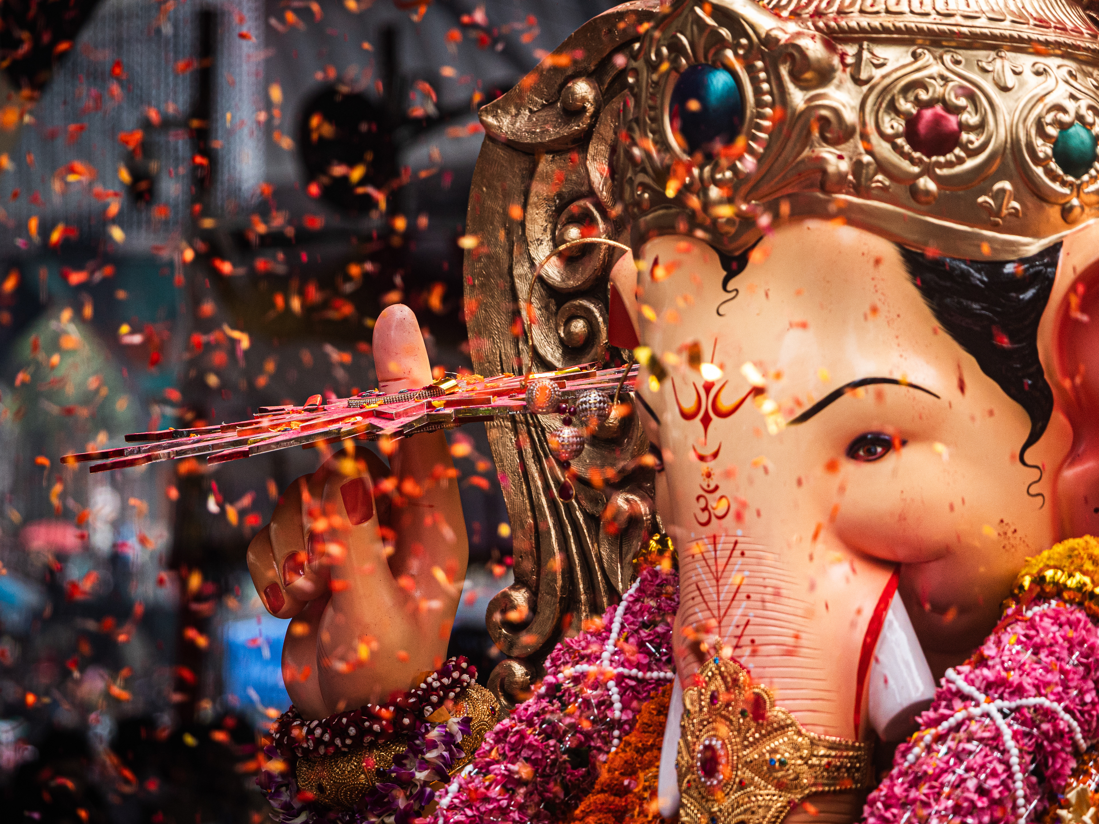 Captured by Rohit Chopra