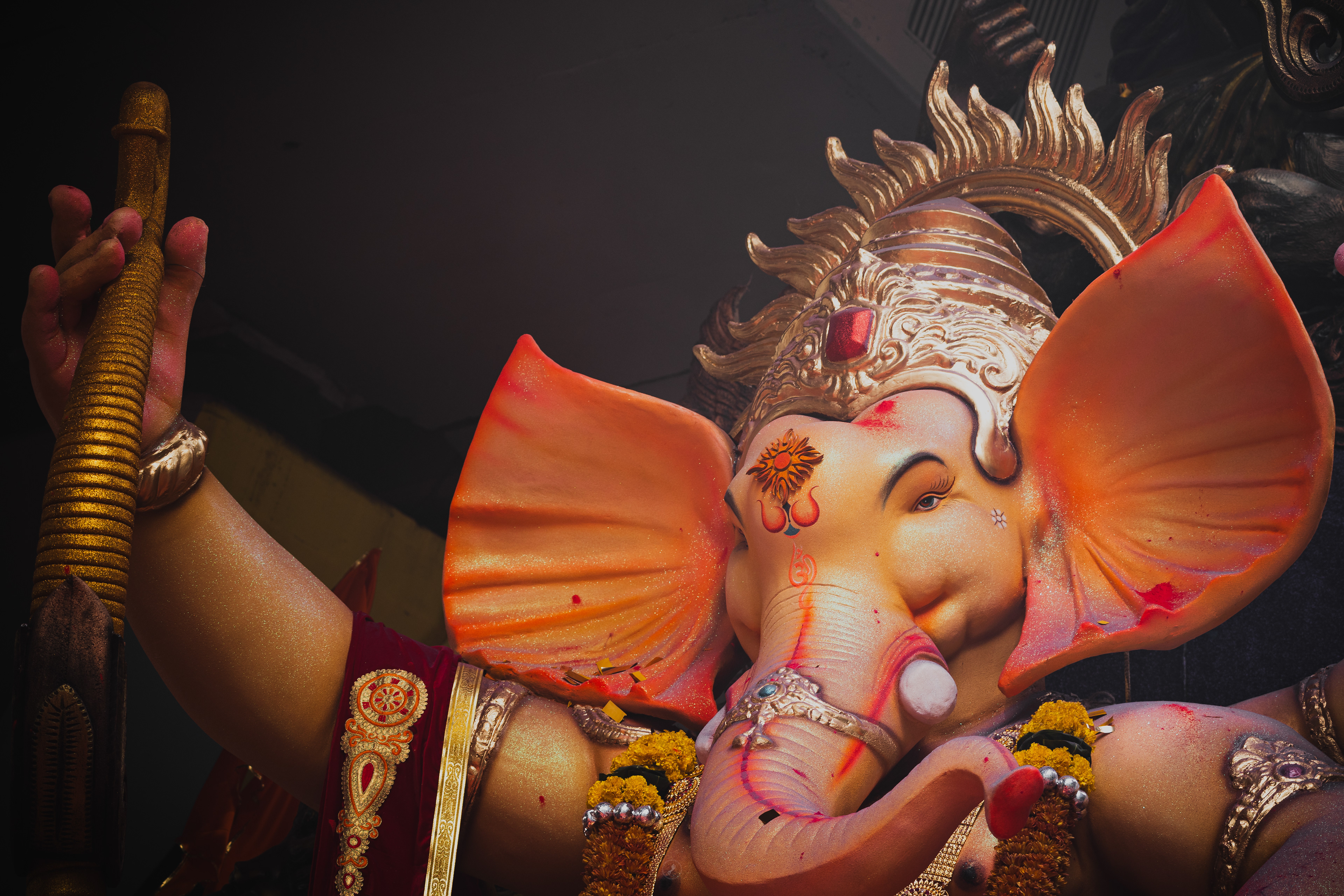 Captured by Rohit Chopra