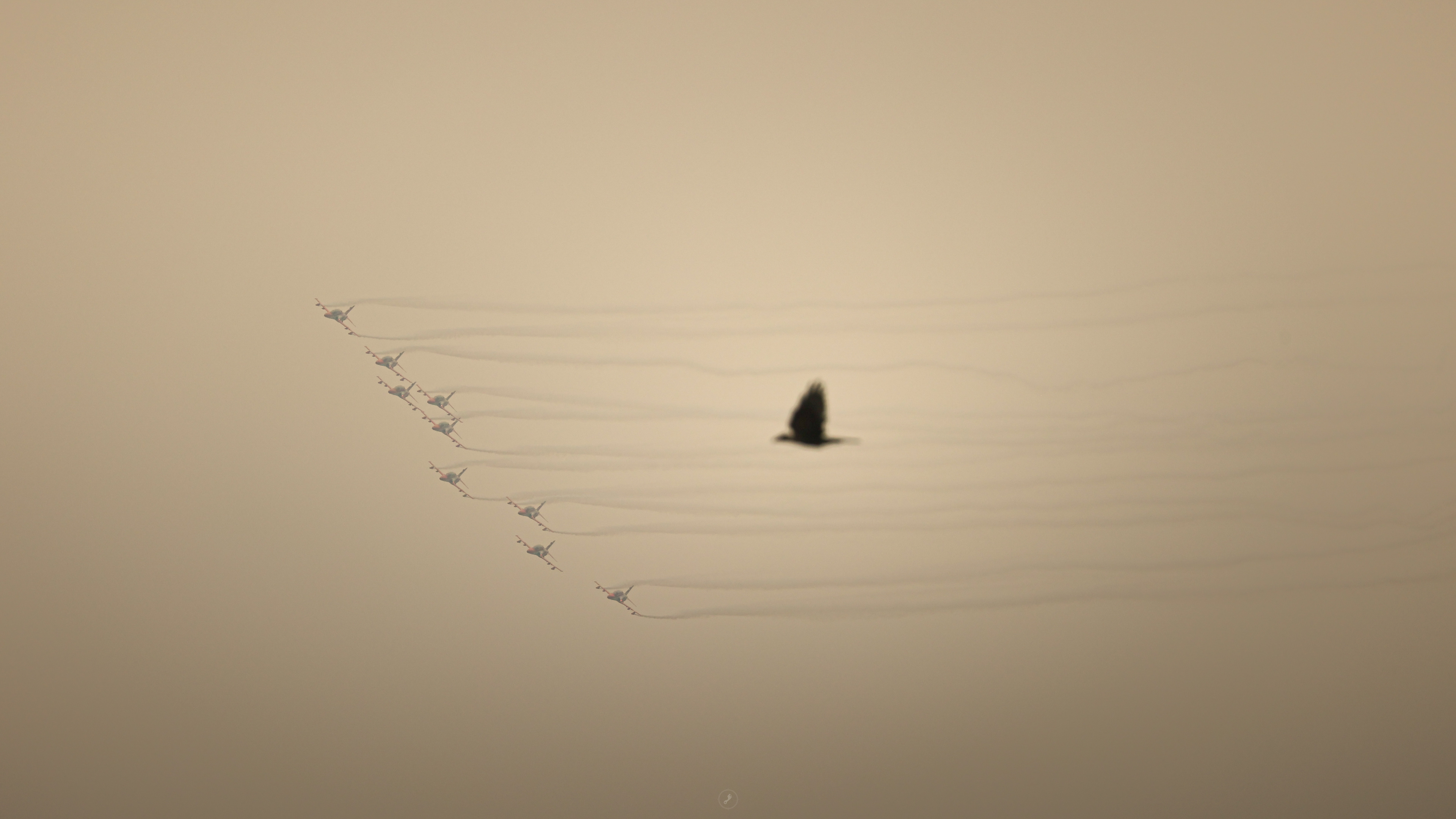 Captured by Rohit Chopra