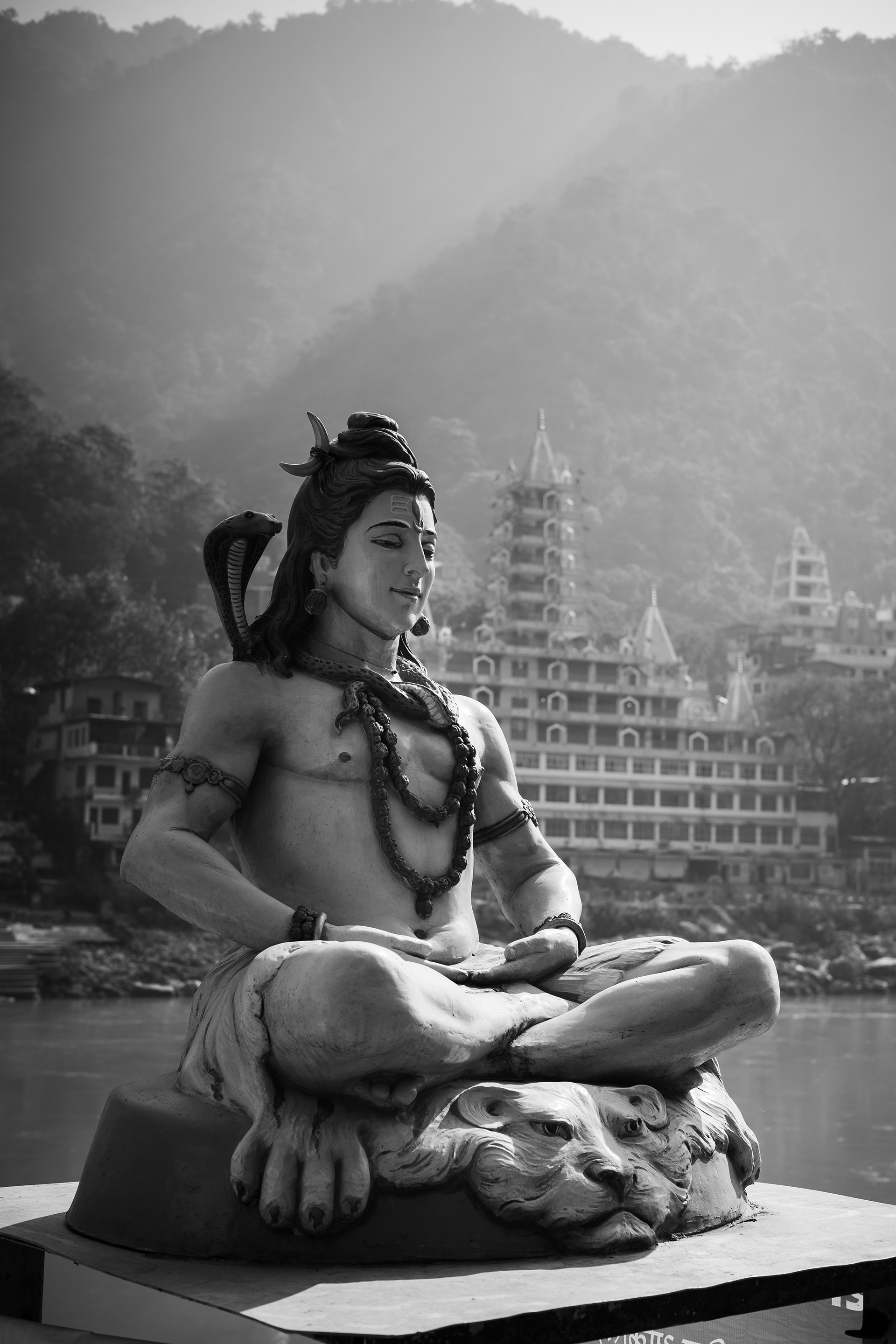 Captured by Rohit Chopra