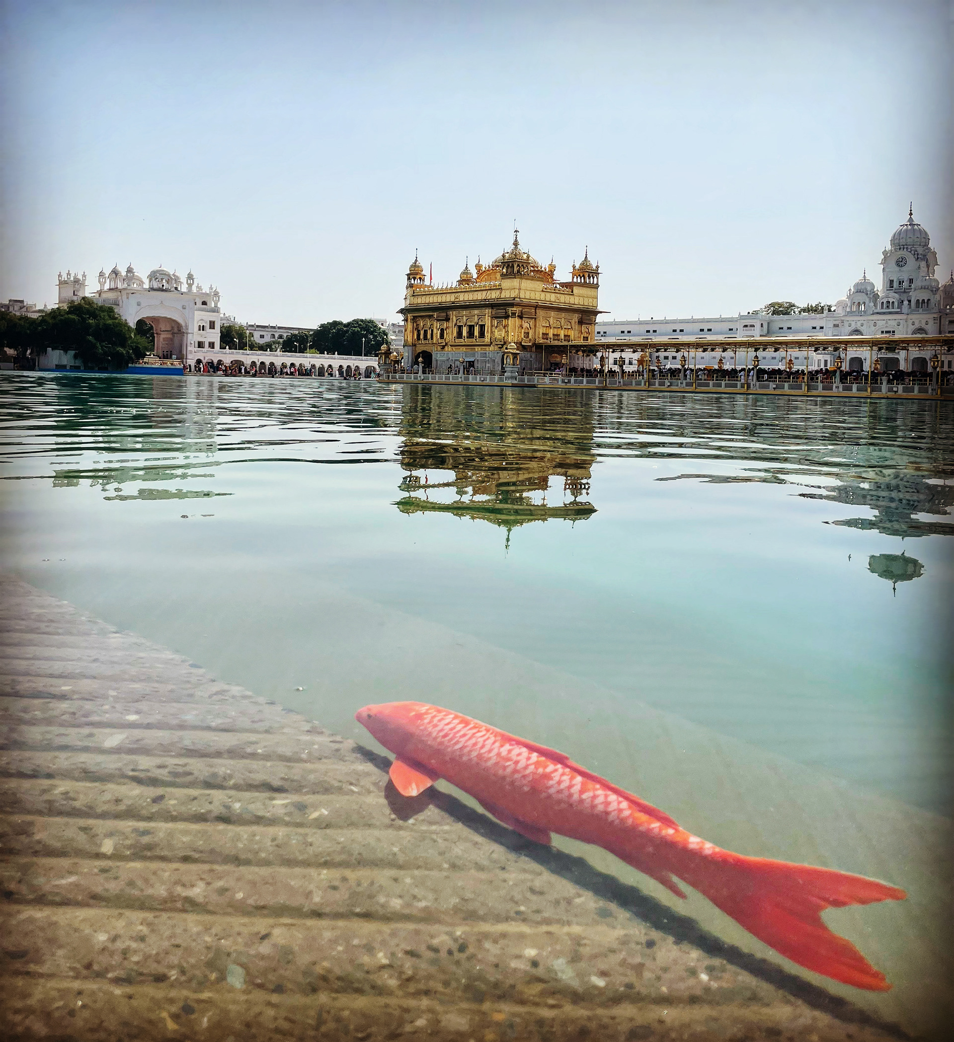 Captured by Rohit Chopra