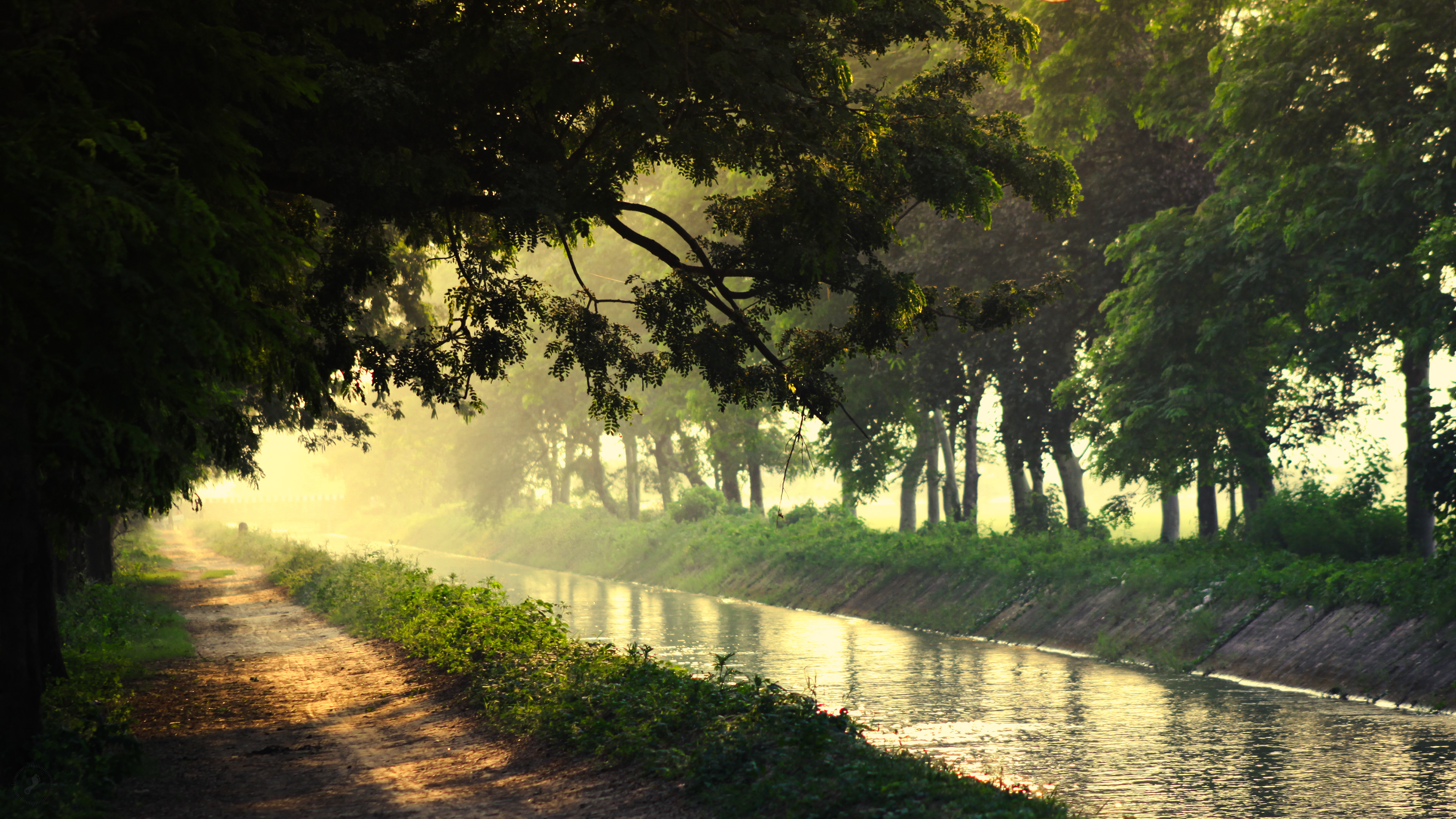 Captured by Rohit Chopra