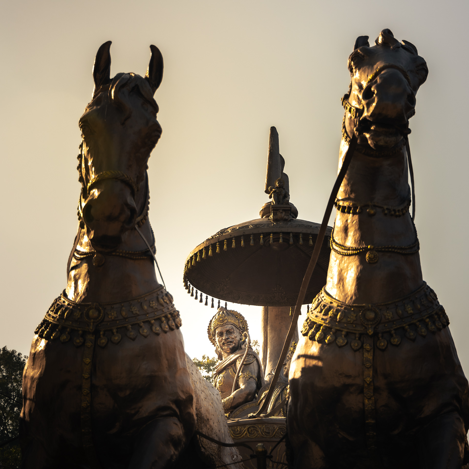 Captured by Rohit Chopra