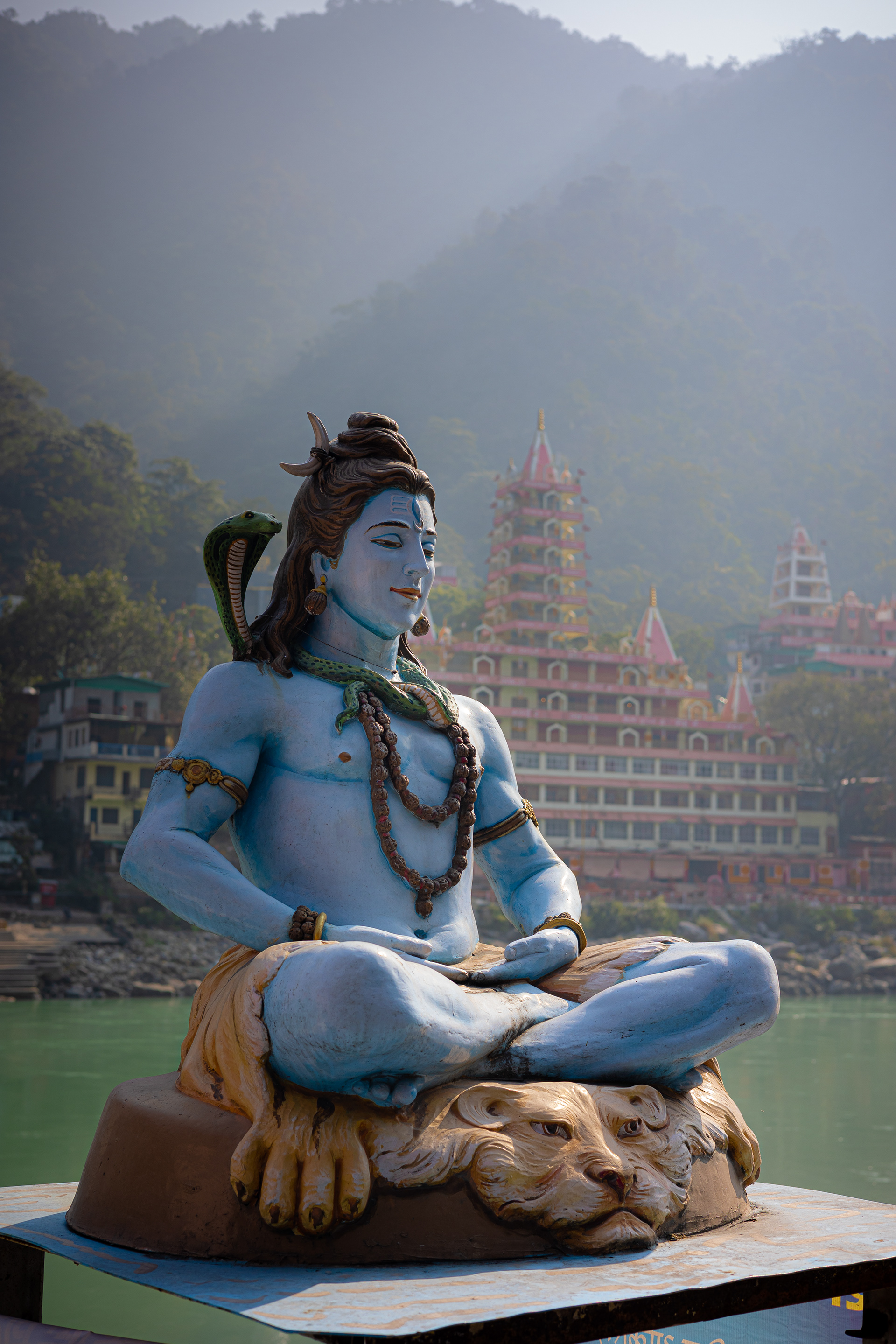 Captured by Rohit Chopra