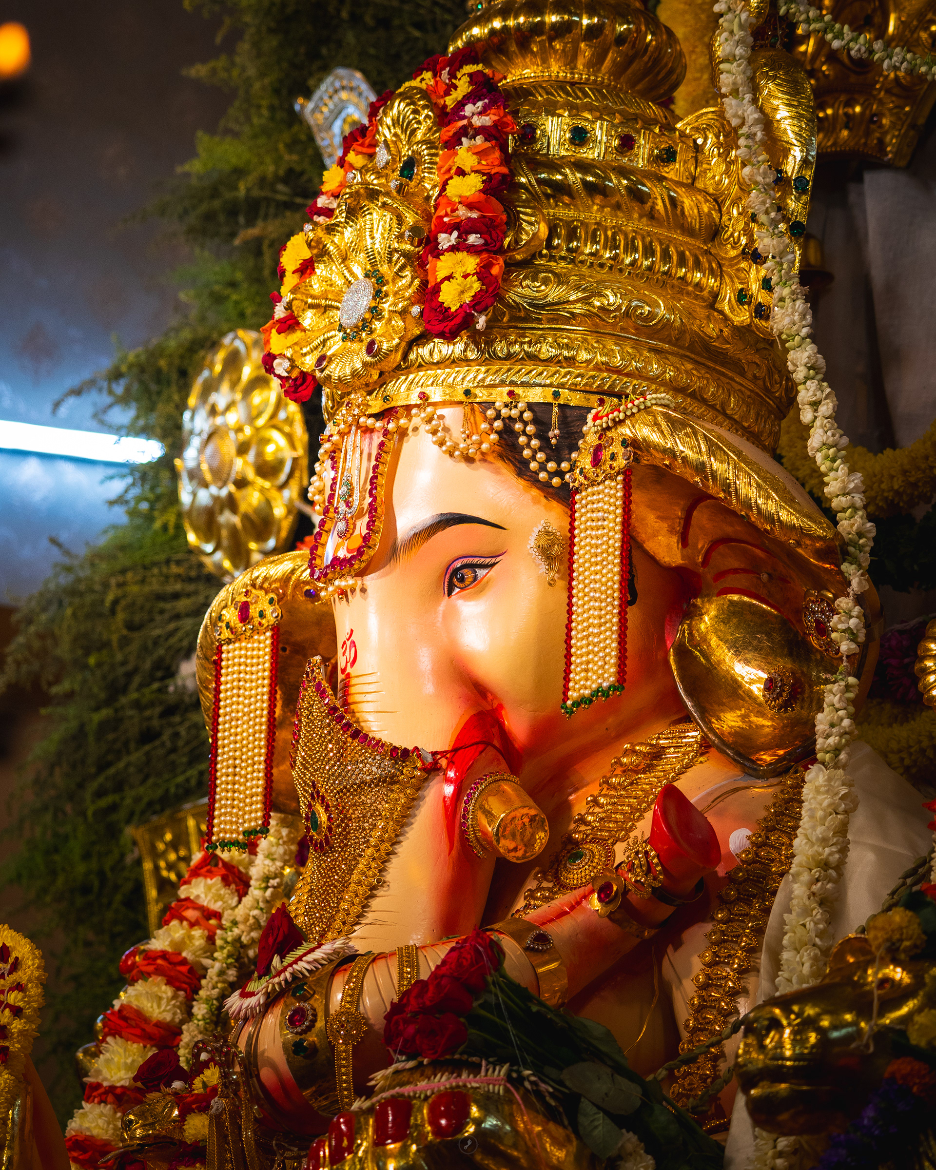 Captured by Rohit Chopra