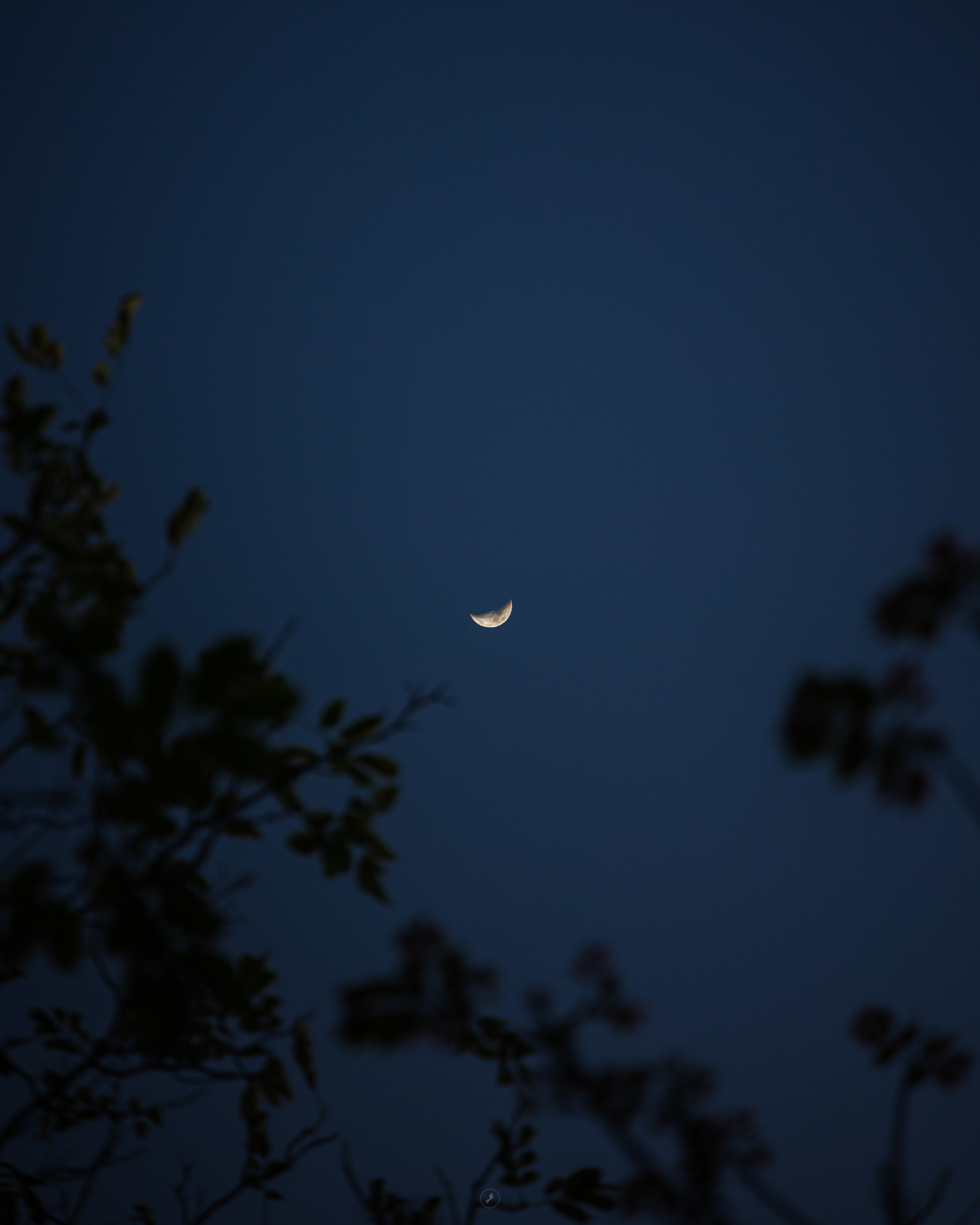 Captured by Rohit Chopra