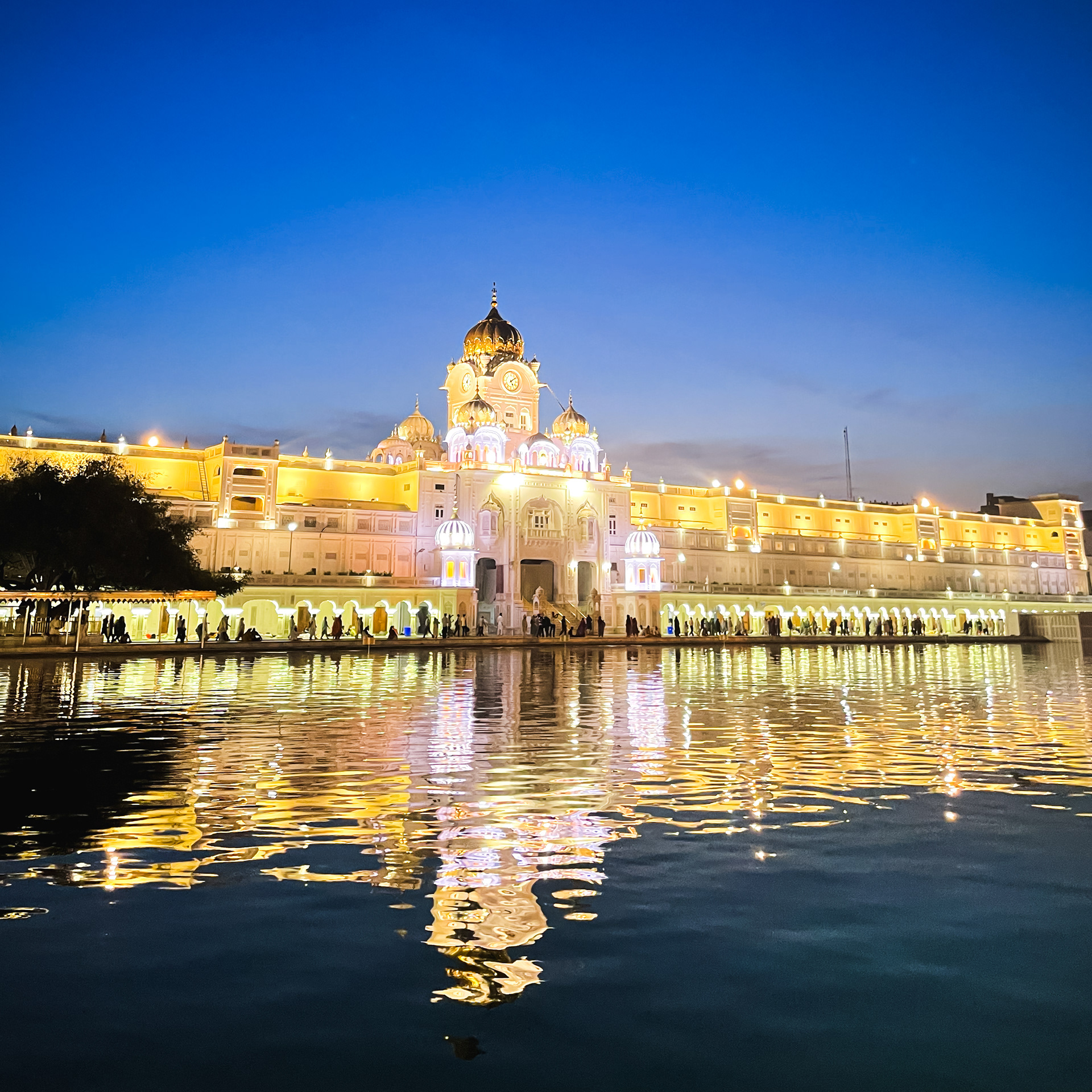 Captured by Rohit Chopra