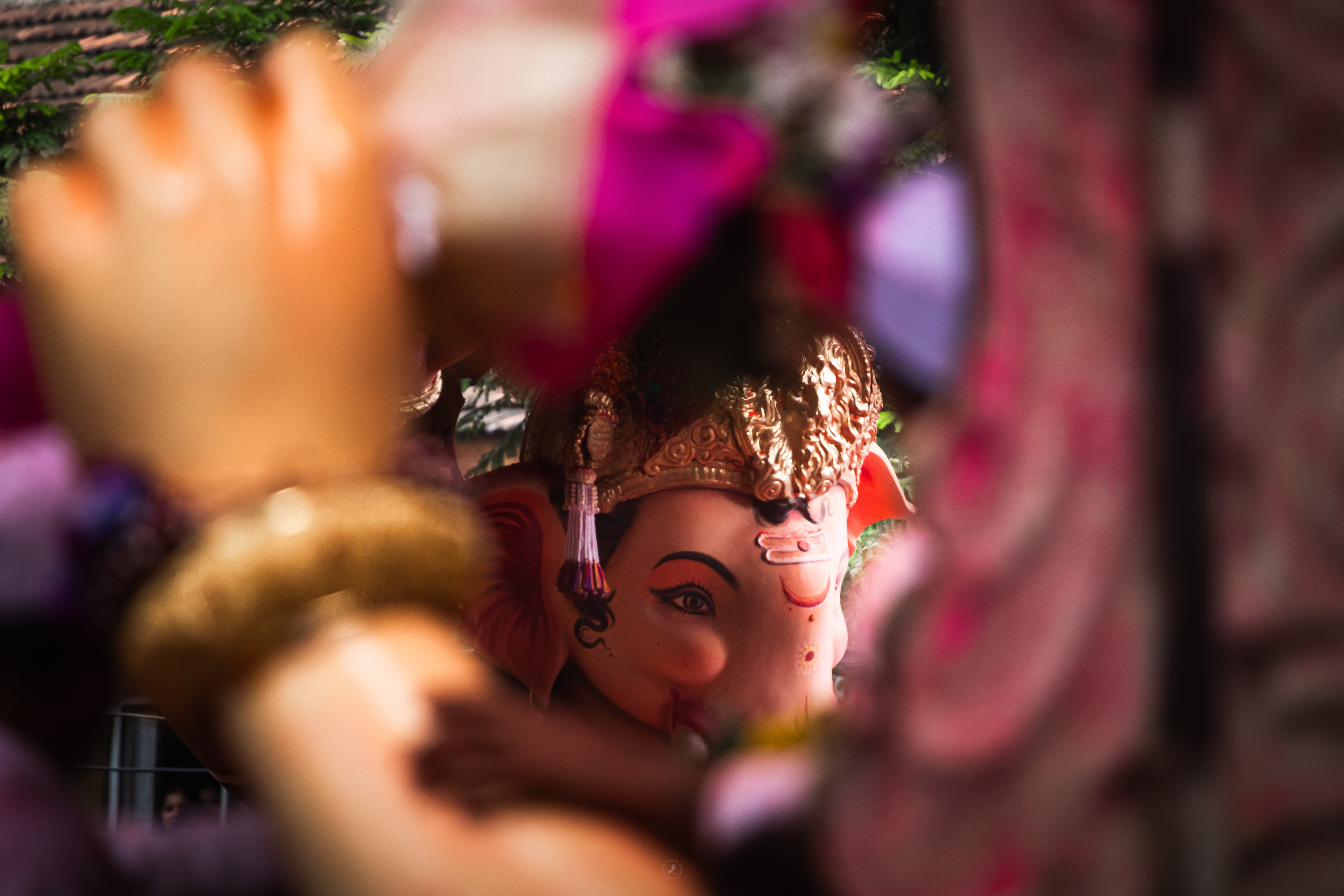 Captured by Rohit Chopra