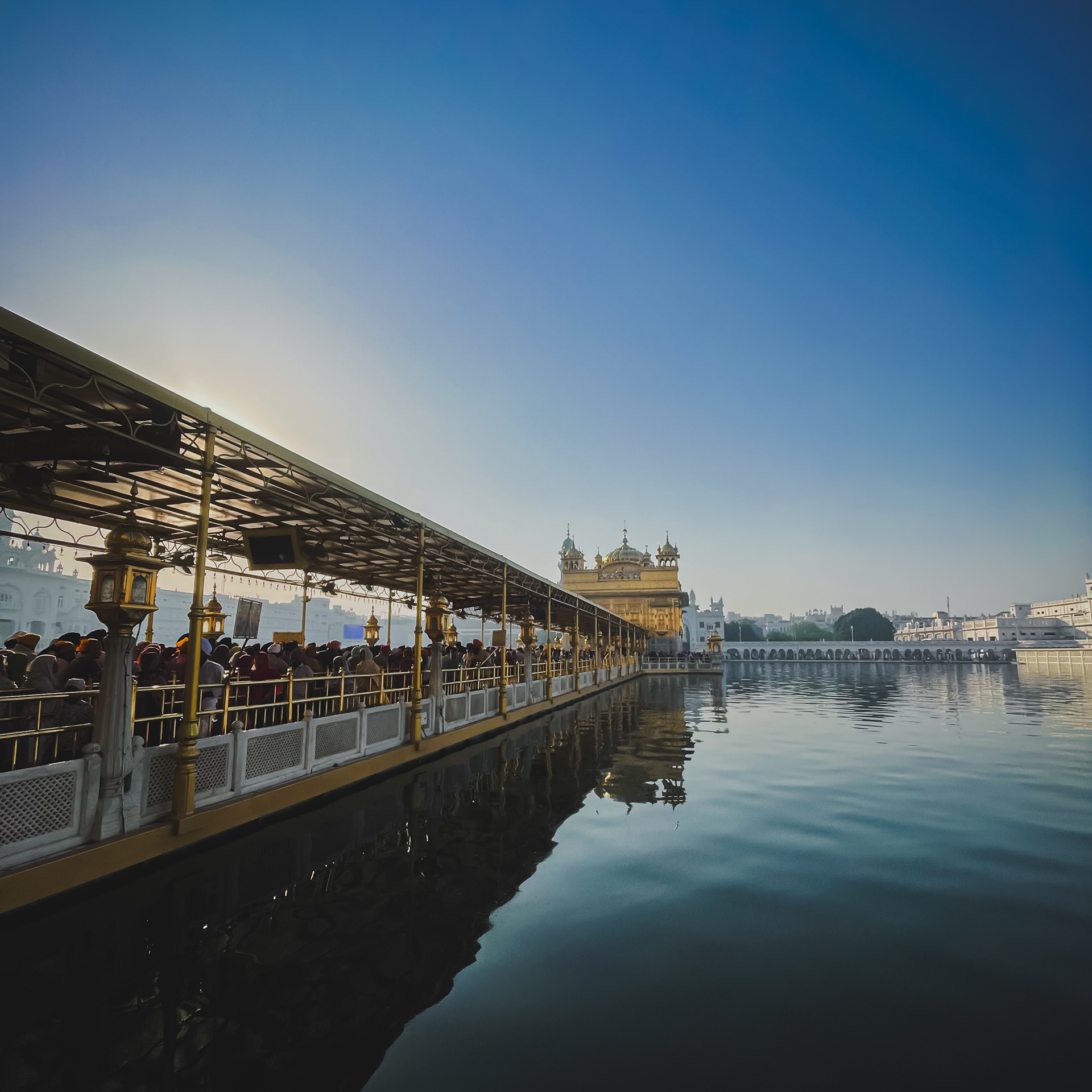 Captured by Rohit Chopra