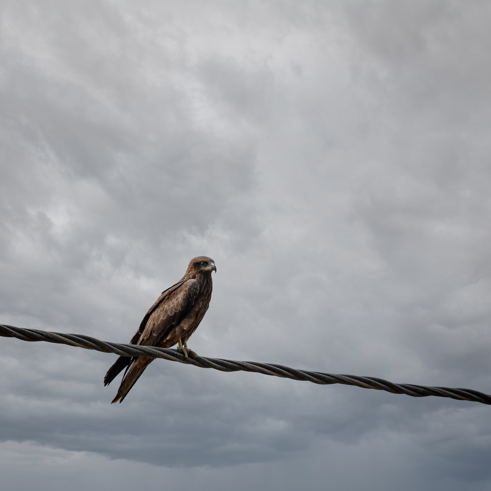 Captured by Rohit Chopra