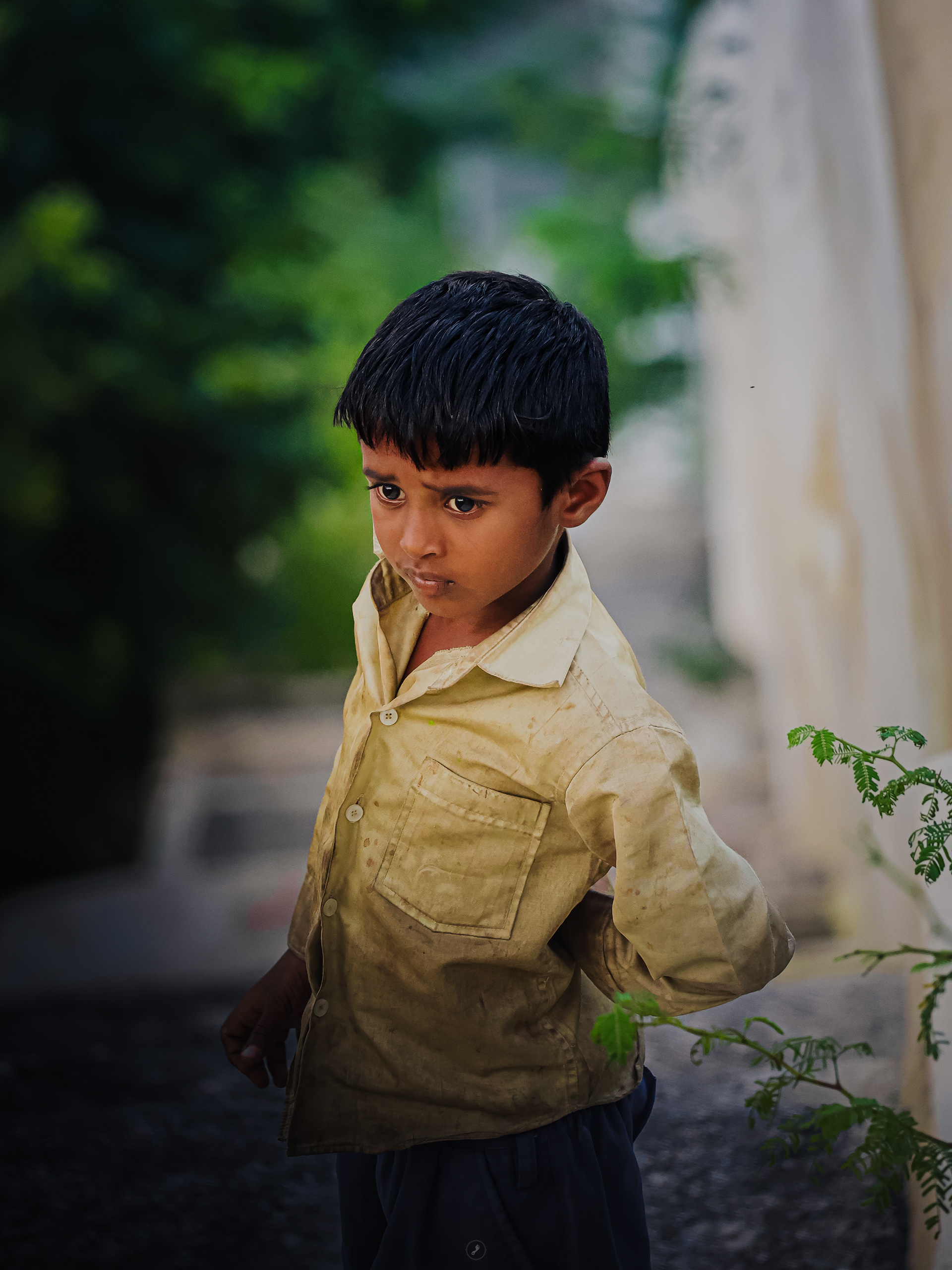 Captured by Rohit Chopra