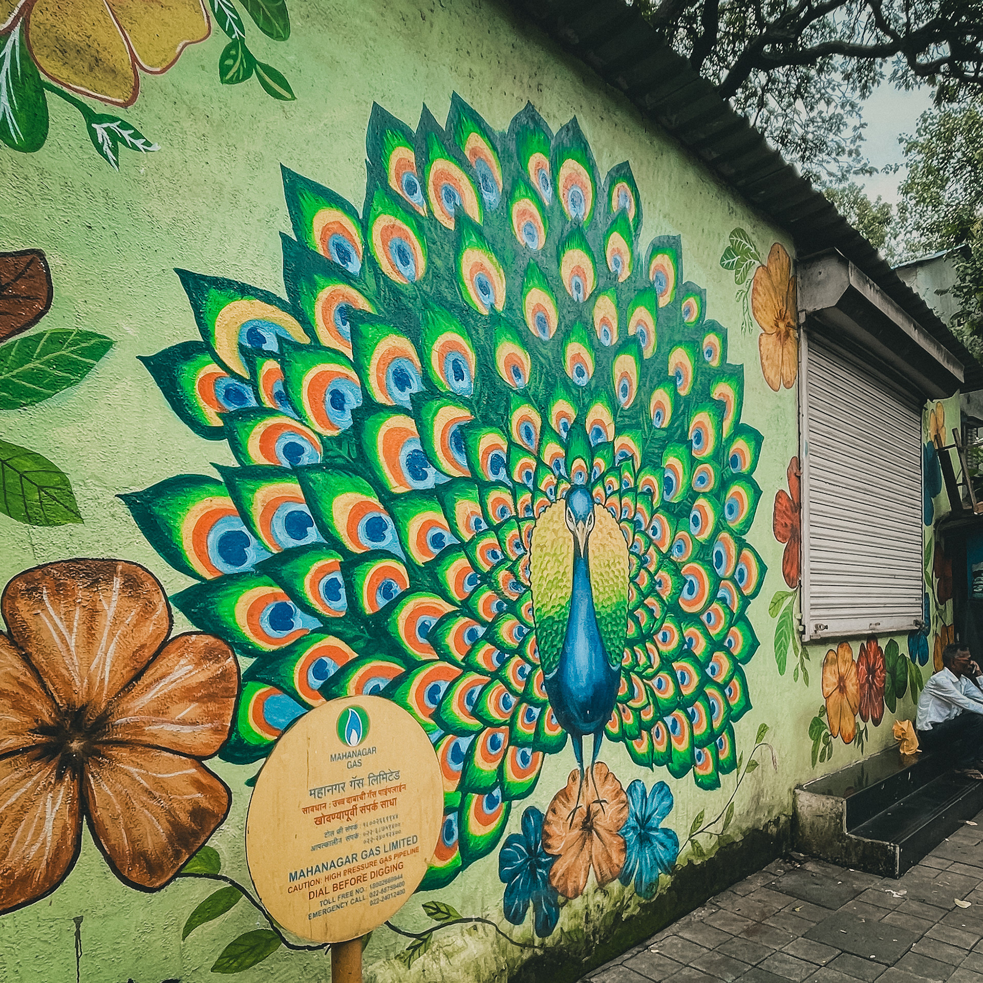 Captured by Rohit Chopra